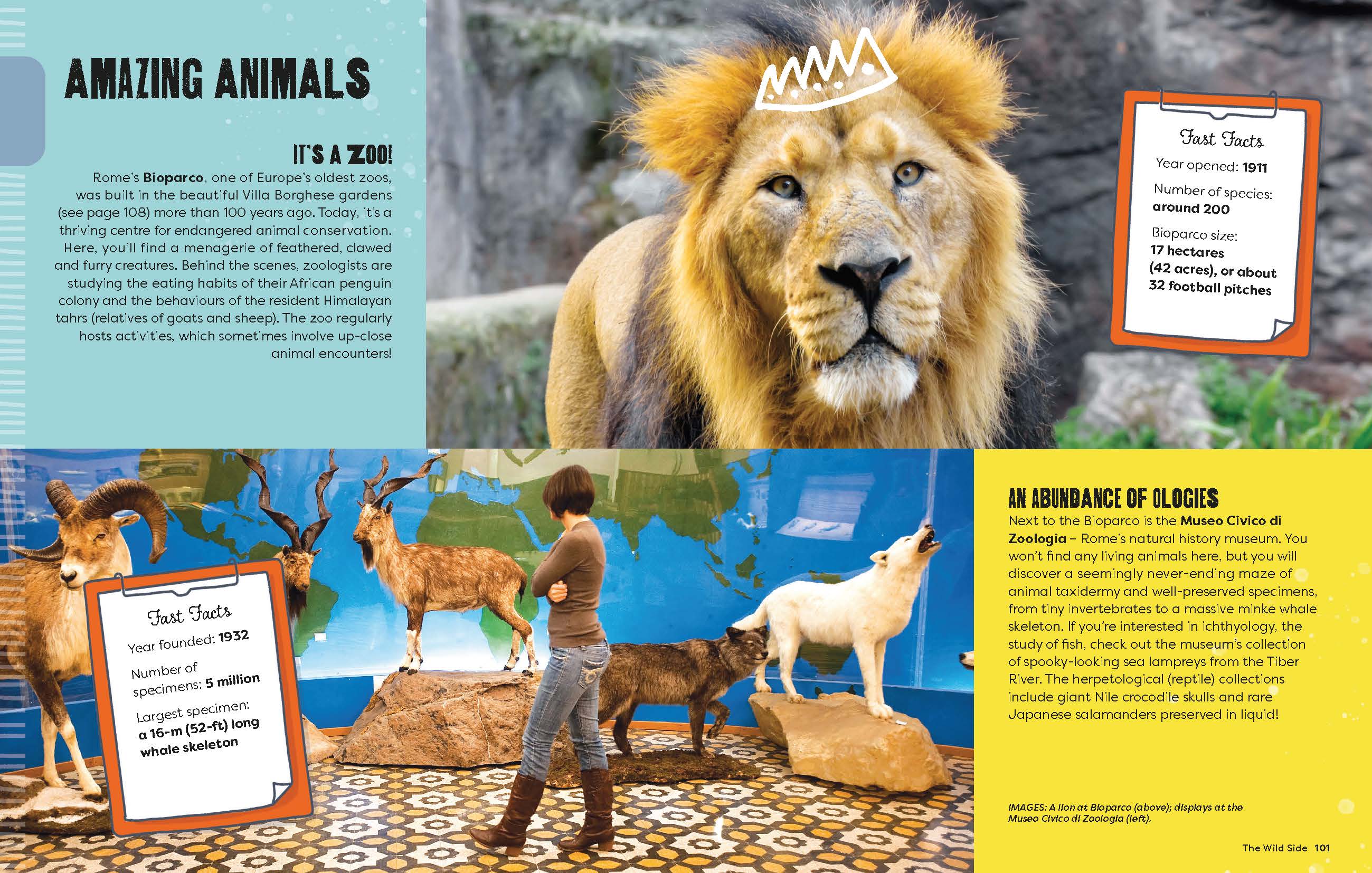 A Kid's Guide to Rome - Book - Image 9