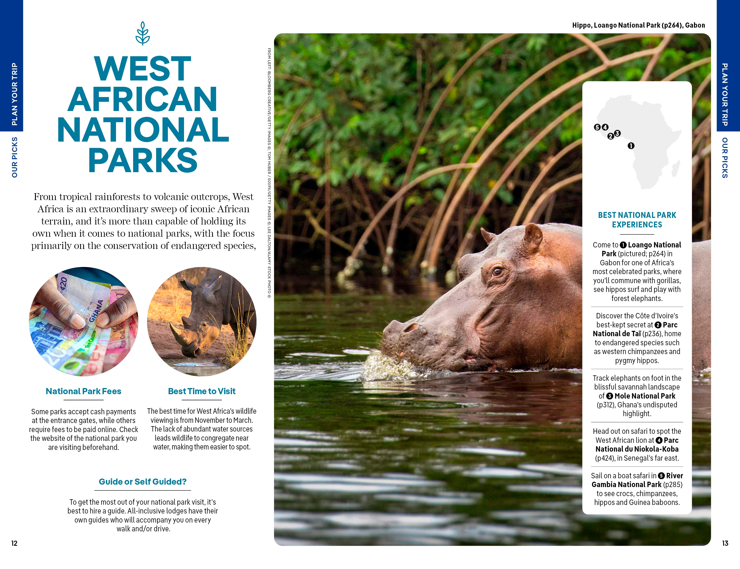 Africa - Image 6