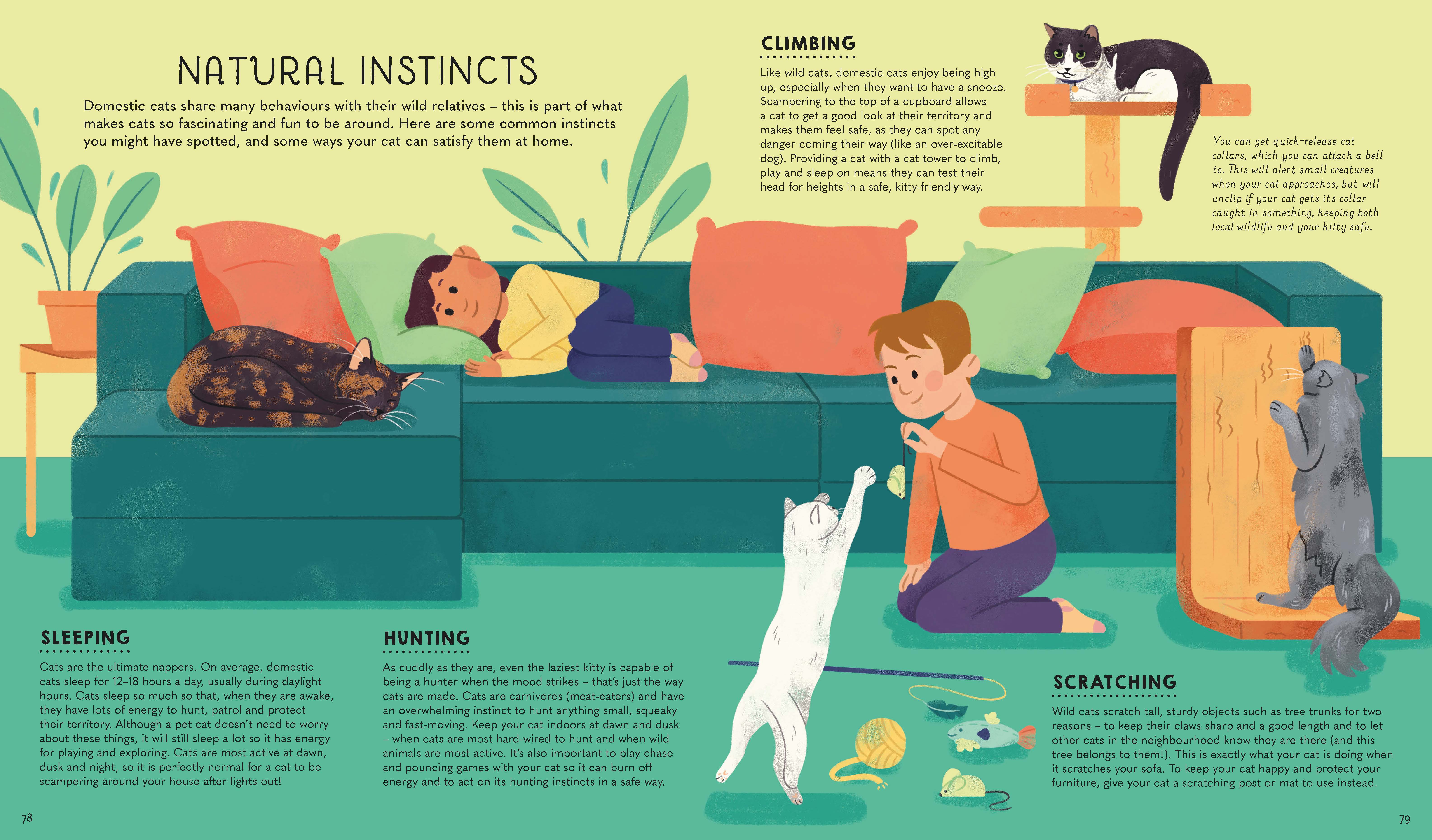 Atlas of Cats - Image 8