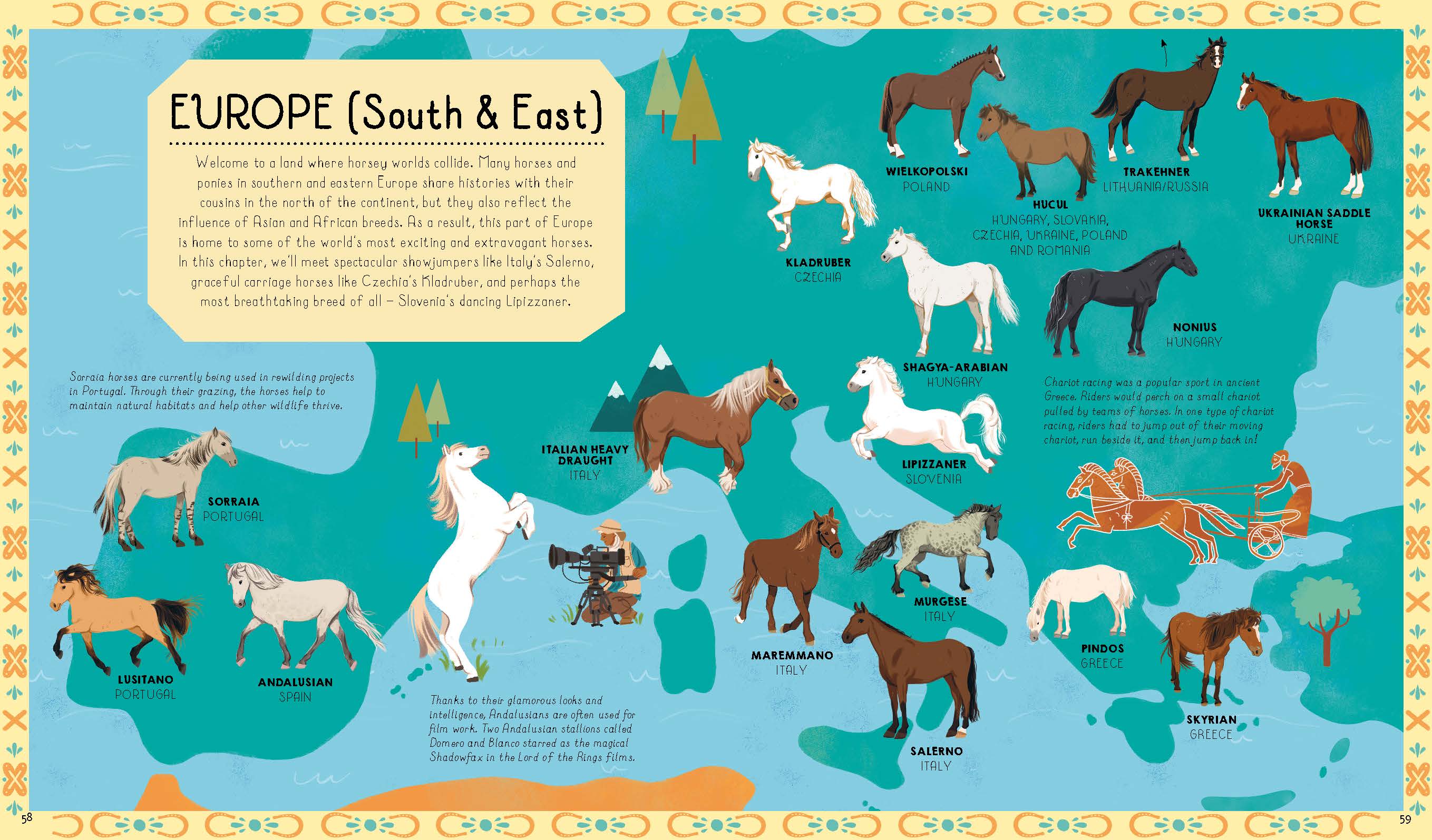 Atlas of Horses and Ponies - Book + eBook - Image 9