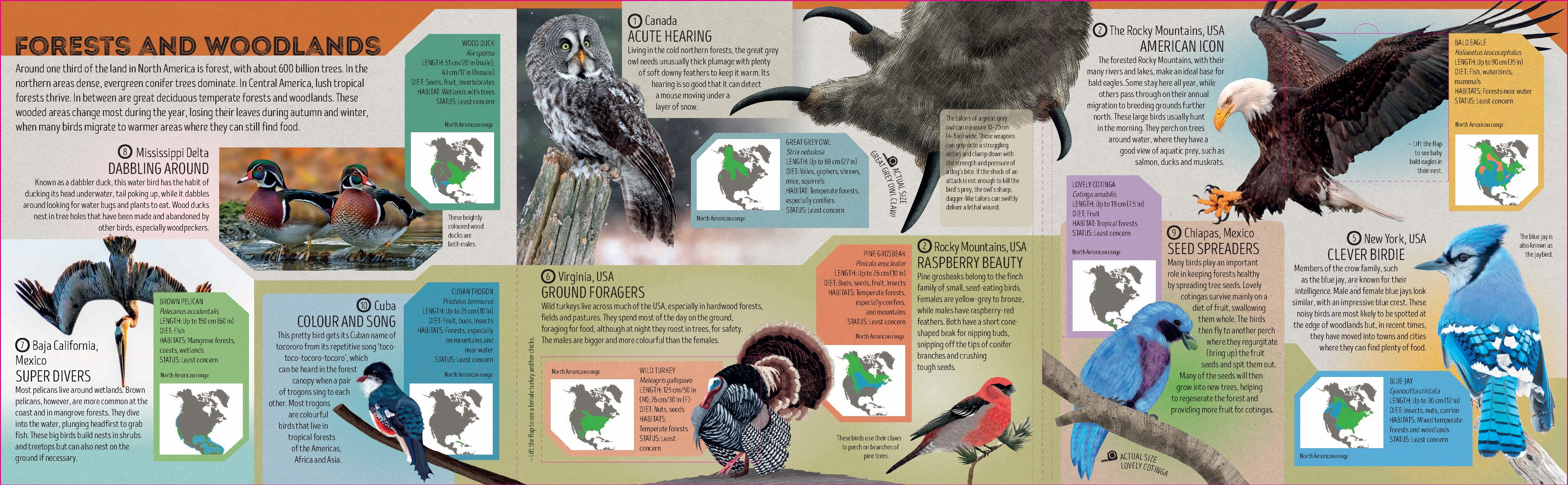 Bird Atlas - Image 3