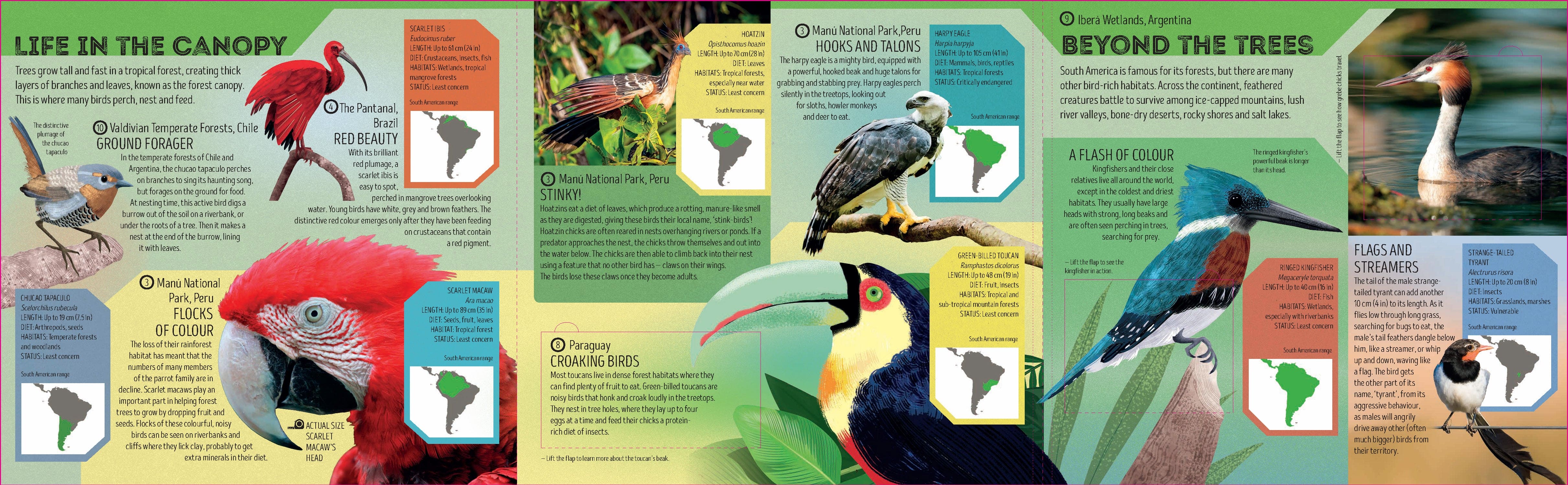 Bird Atlas - Image 4