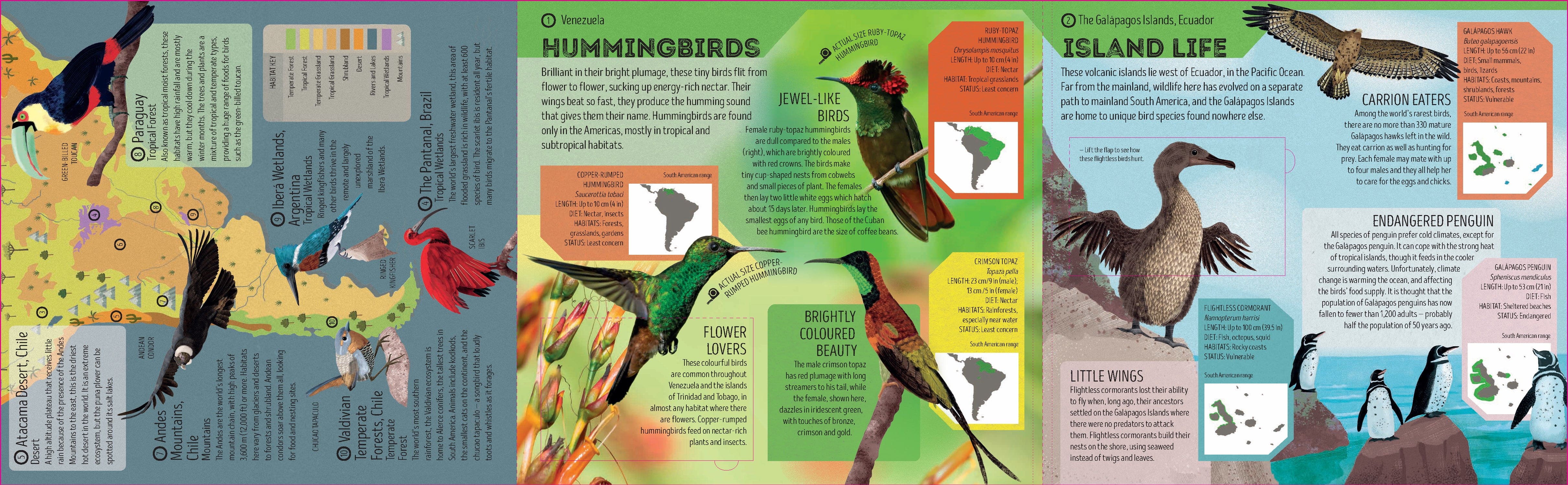 Bird Atlas - Image 5