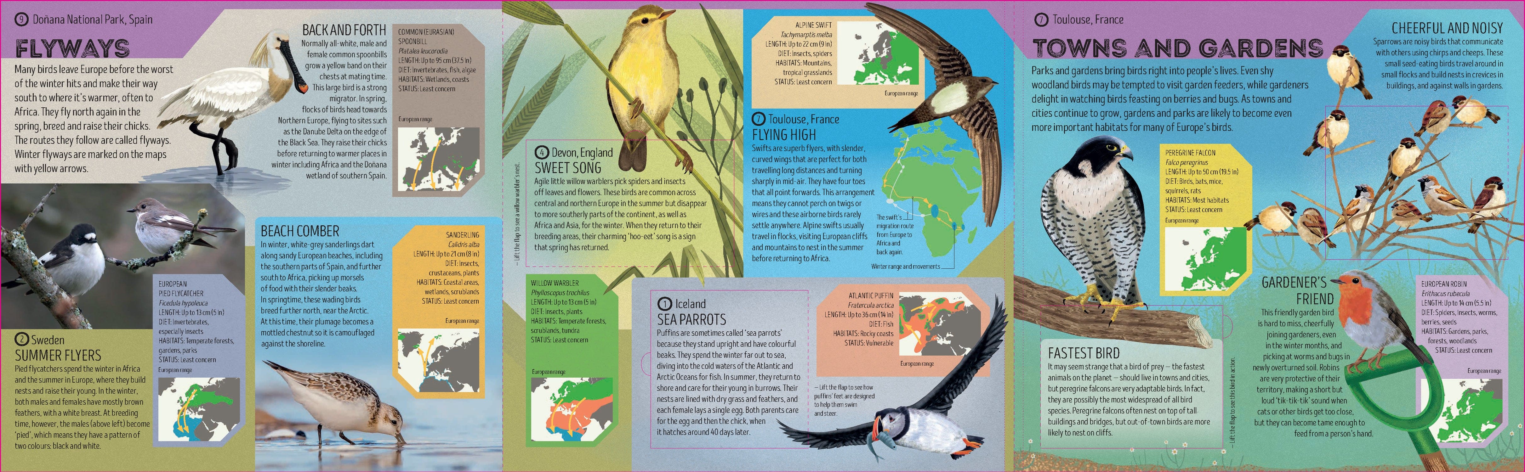 Bird Atlas - Image 6