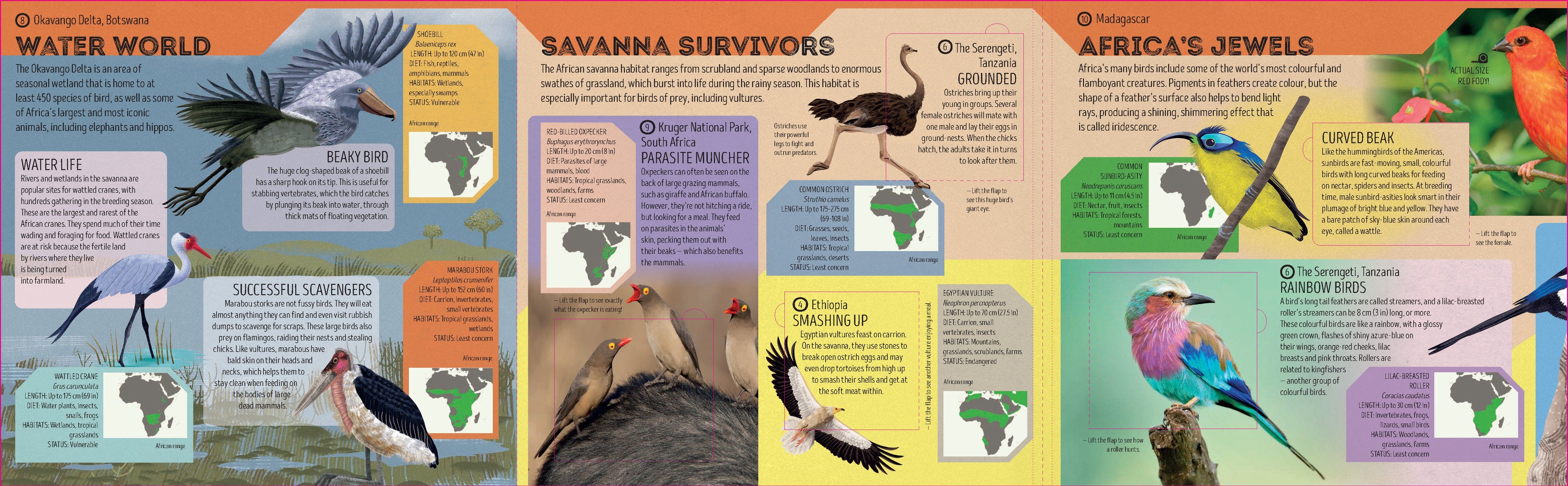 Bird Atlas - Image 7