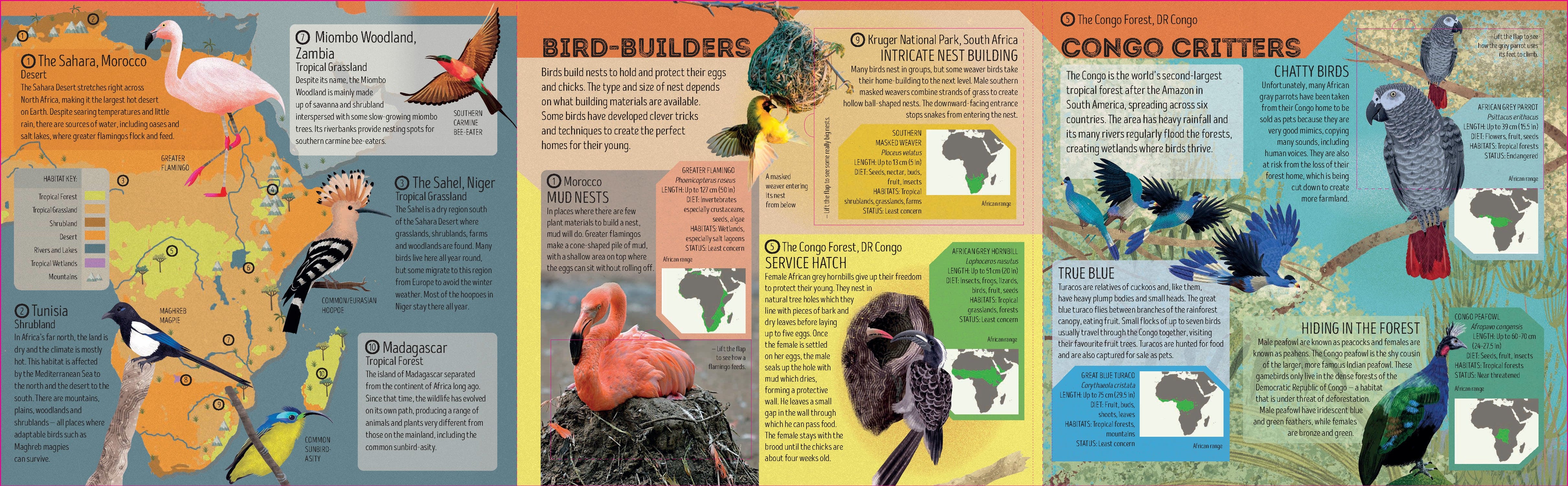 Bird Atlas - Image 8