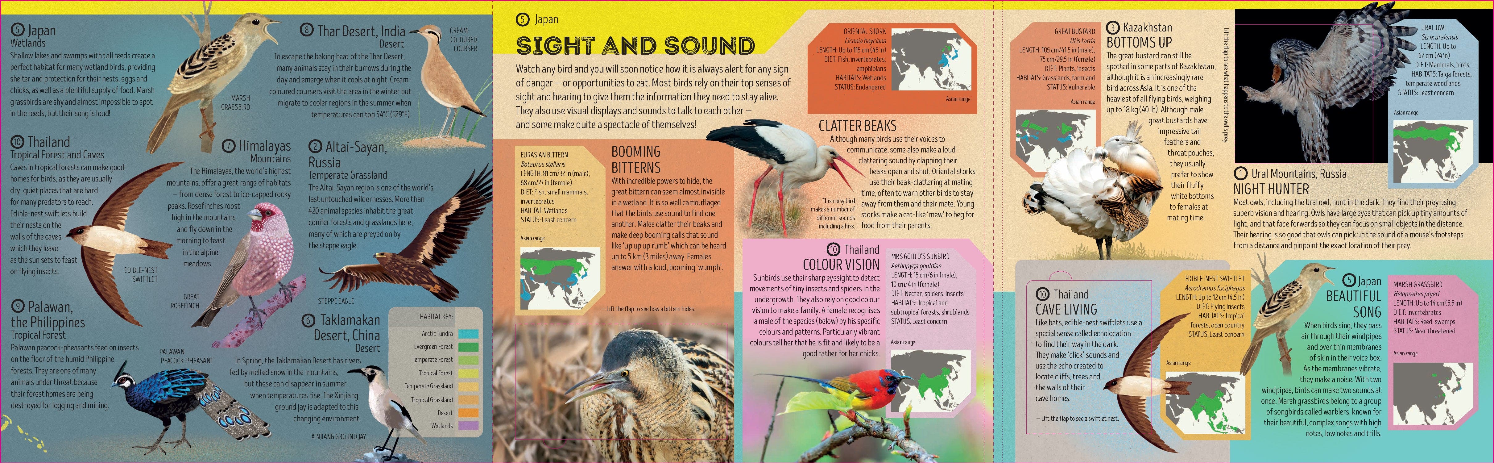 Bird Atlas - Image 9