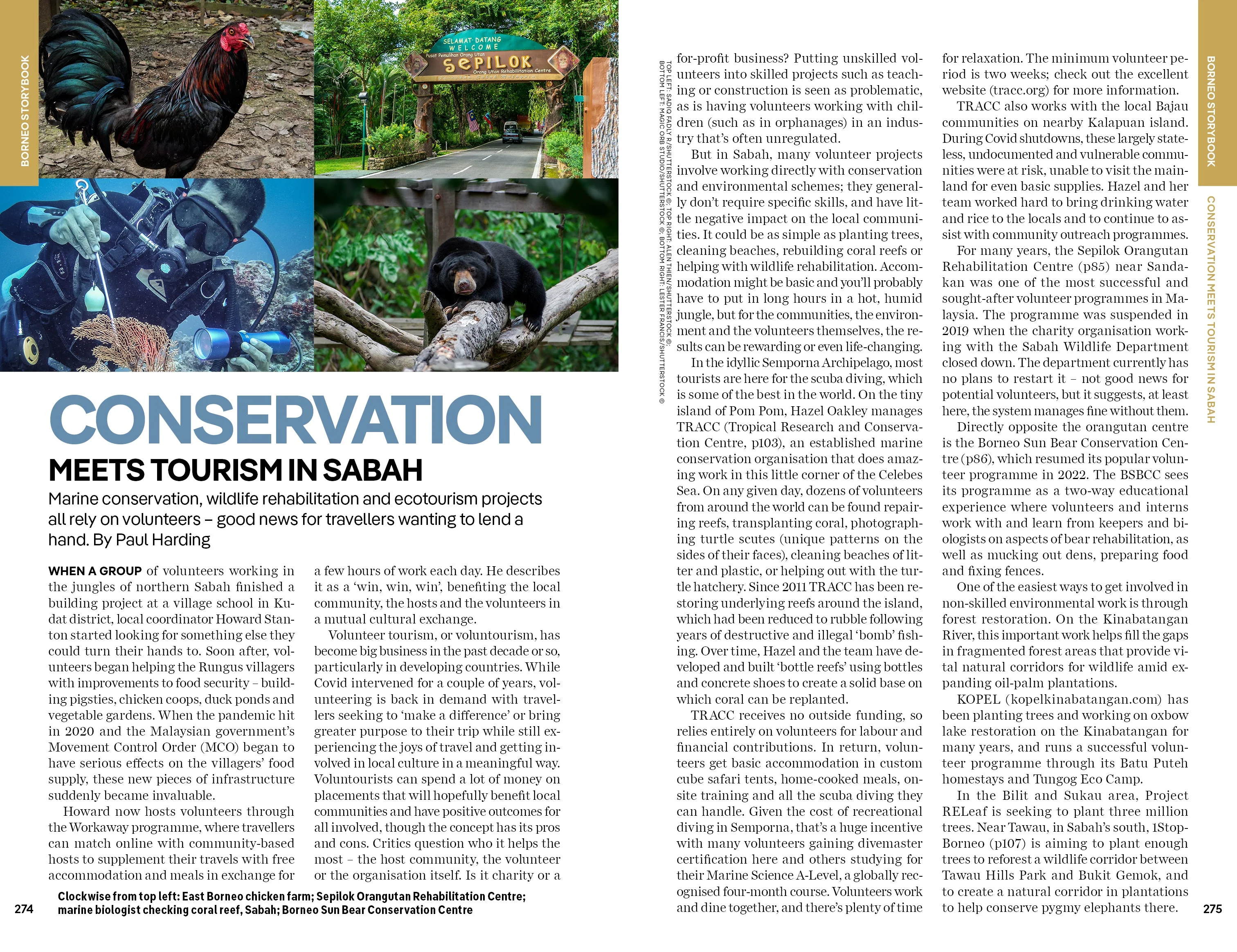 Borneo - Image 18