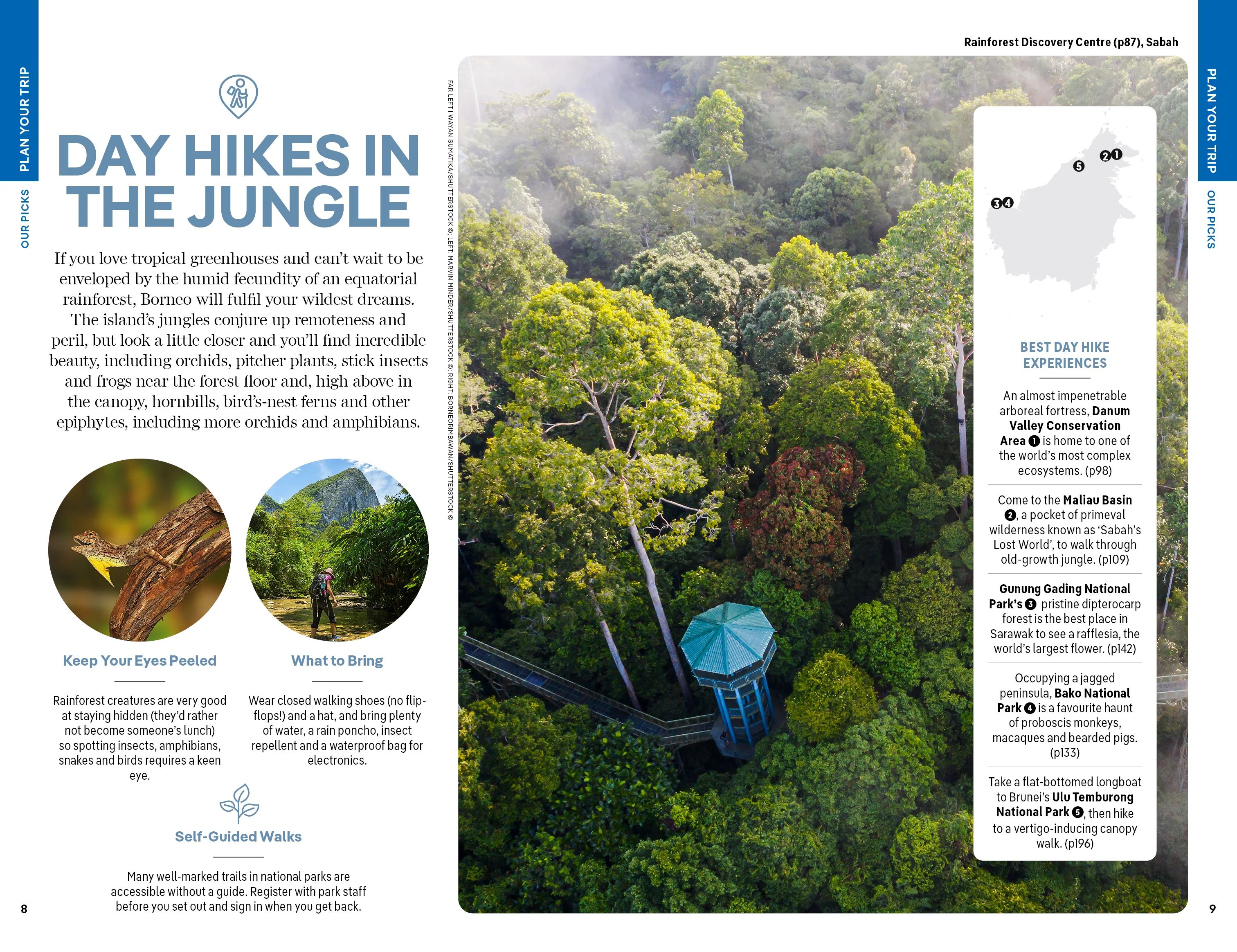 Borneo - Image 5