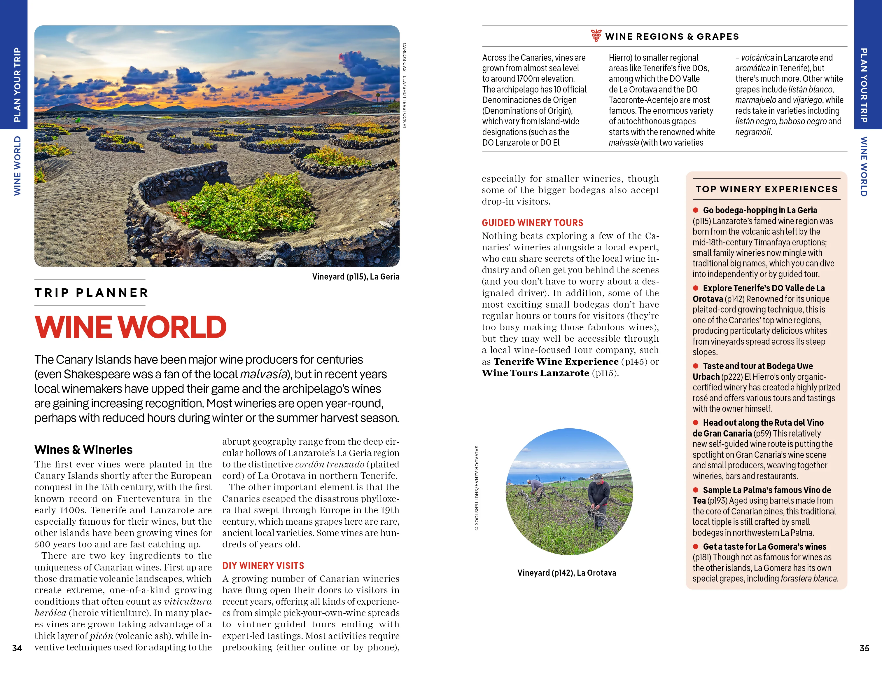 Canary Islands - Book - Image 9