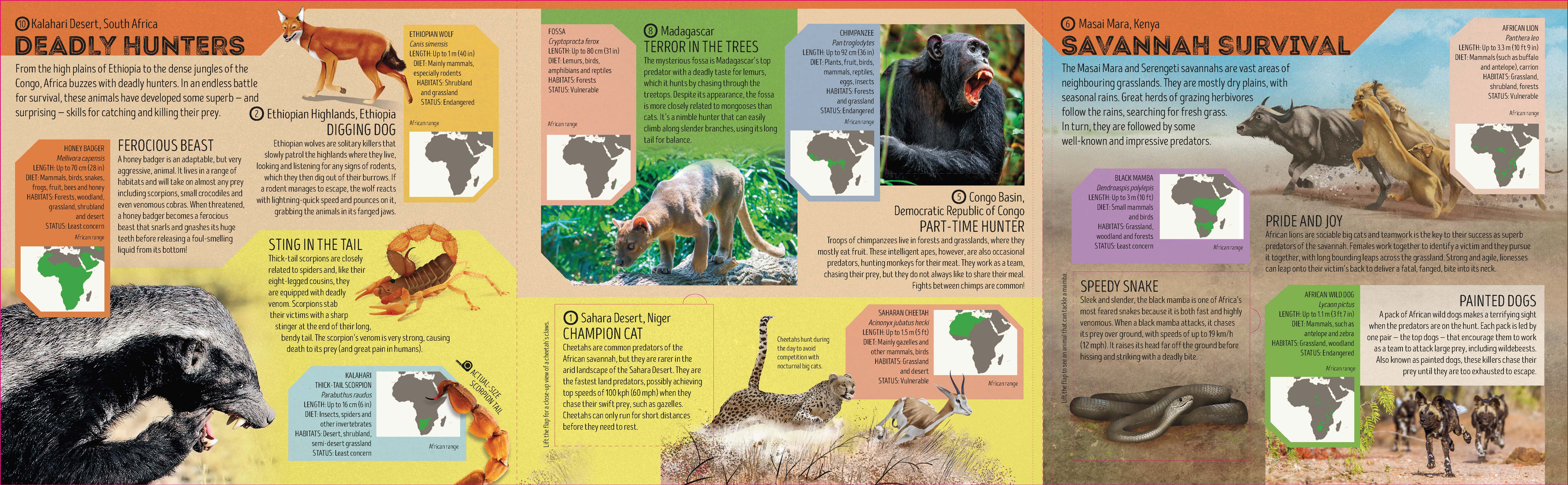 Deadly Animal Atlas - Image 5