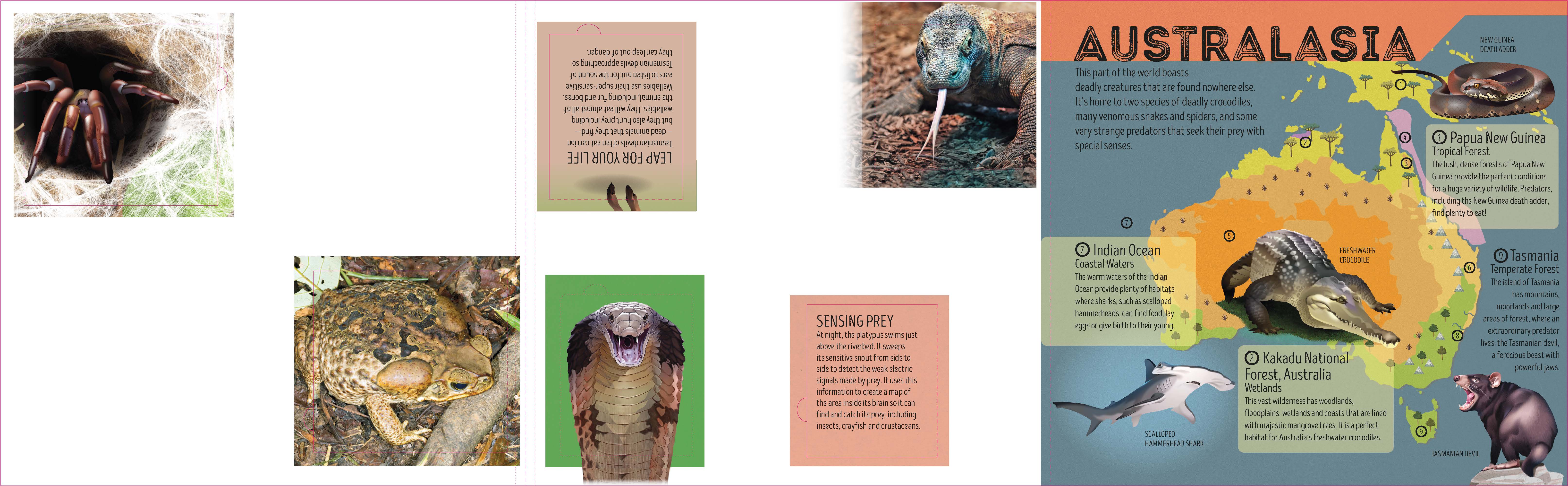 Deadly Animal Atlas - Image 6