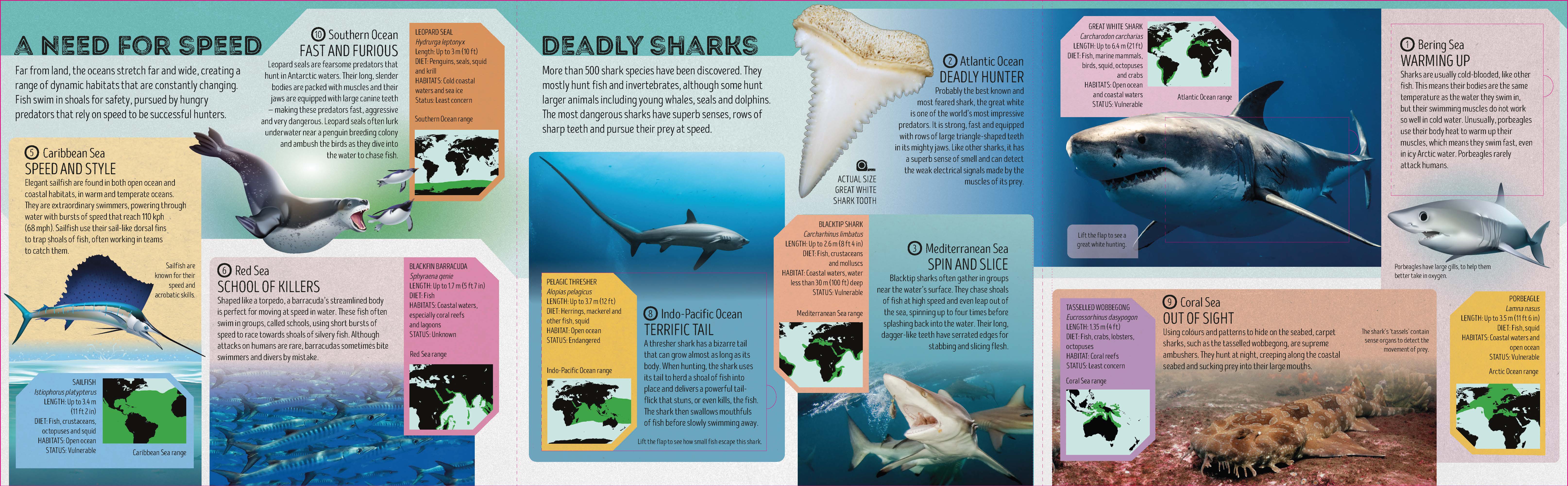 Deadly Animal Atlas - Image 7