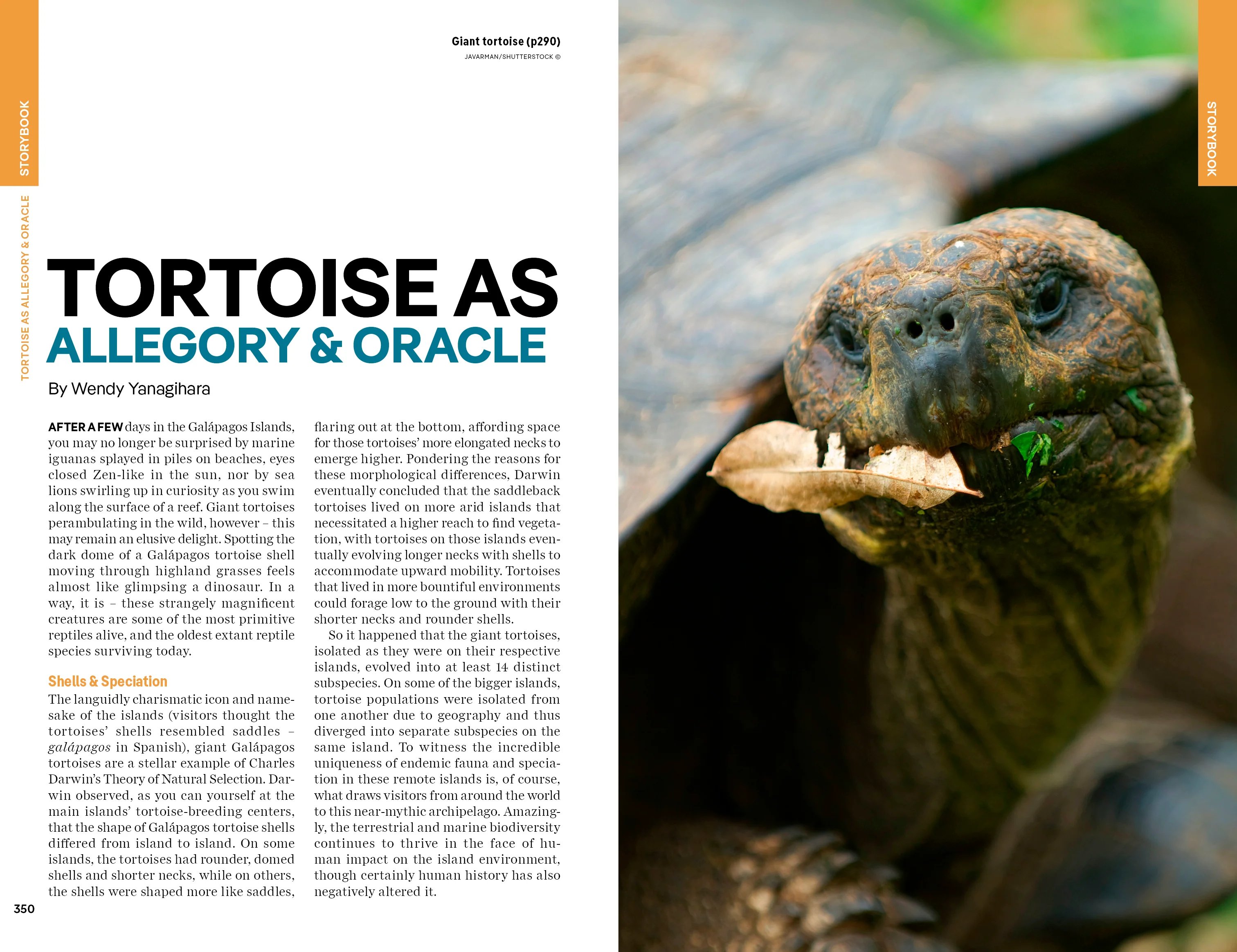 Ecuador & the Galapagos Islands - Book + eBook - Image 18