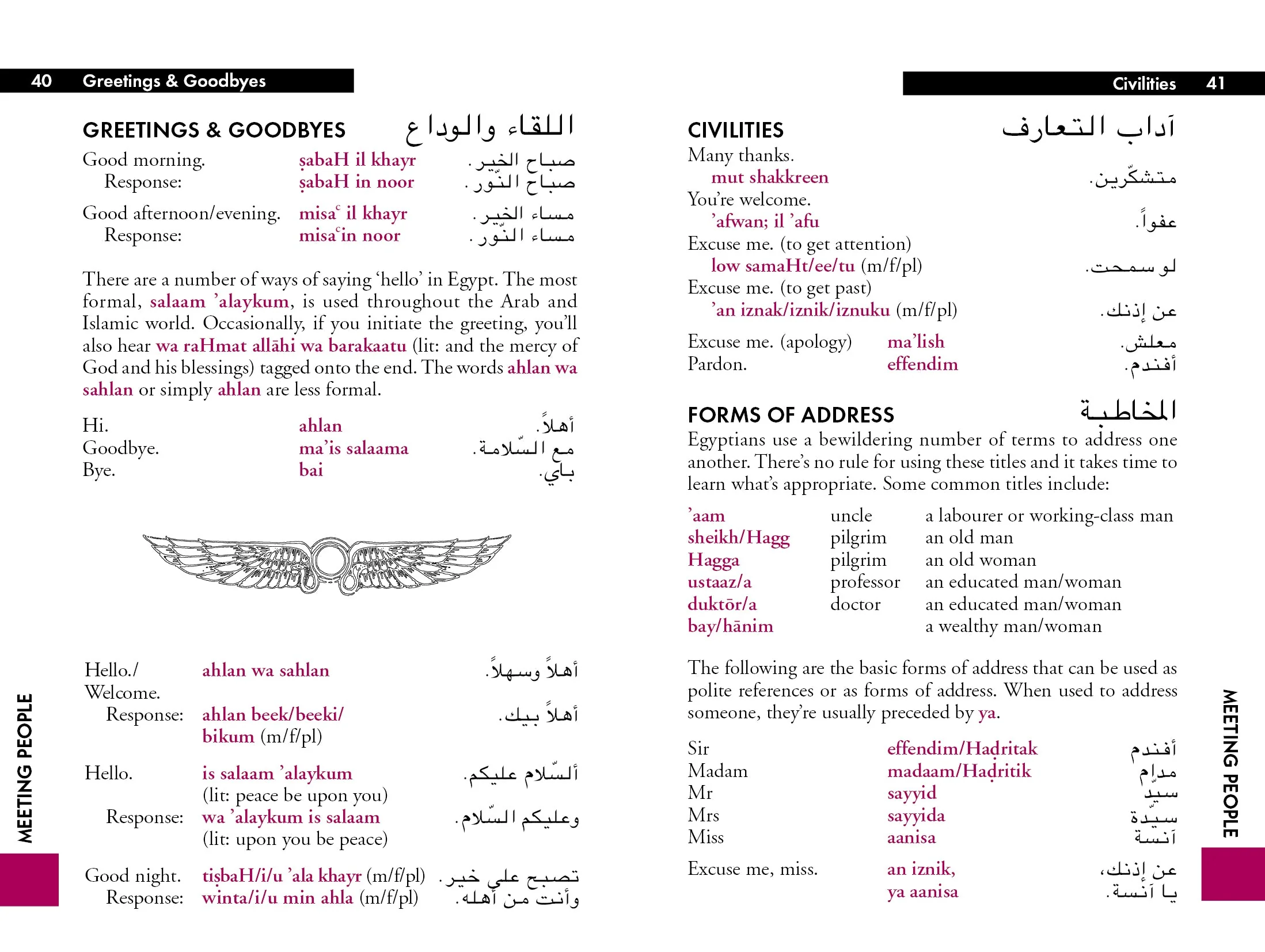 Egyptian Arabic Phrasebook & Dictionary - Book - Image 6