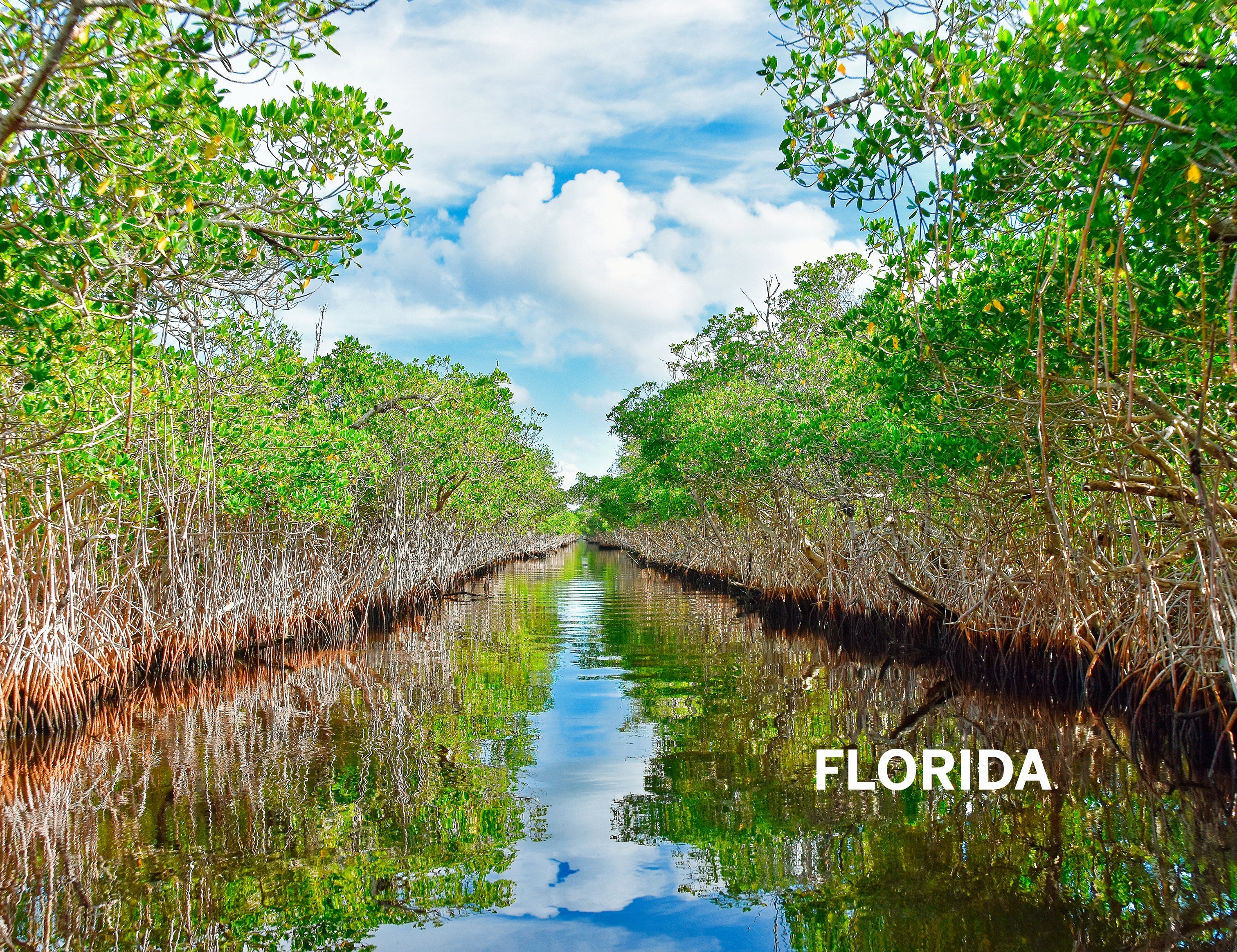 Florida & the South's National Parks - Book - Image 11