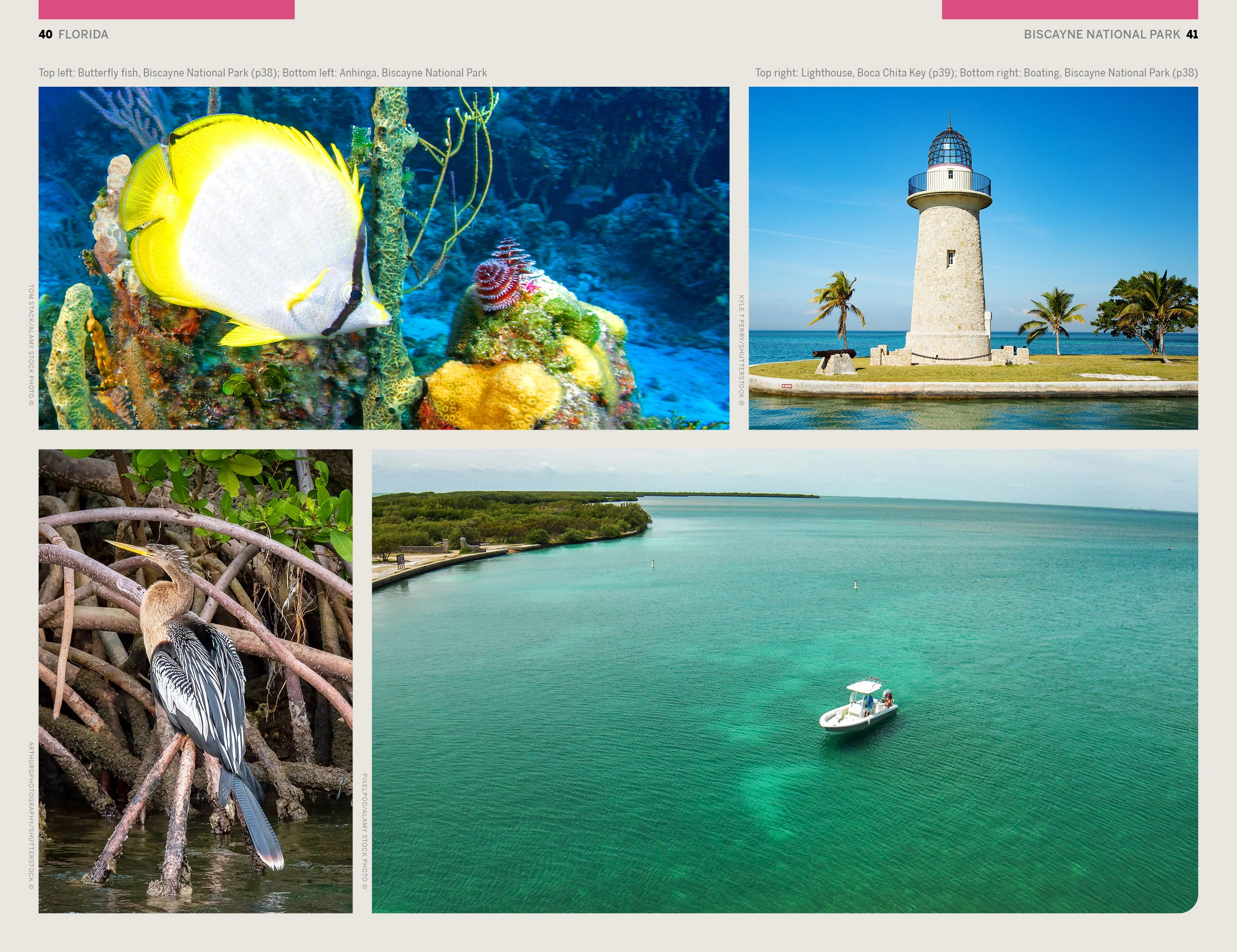 Florida & the South's National Parks - Book - Image 14