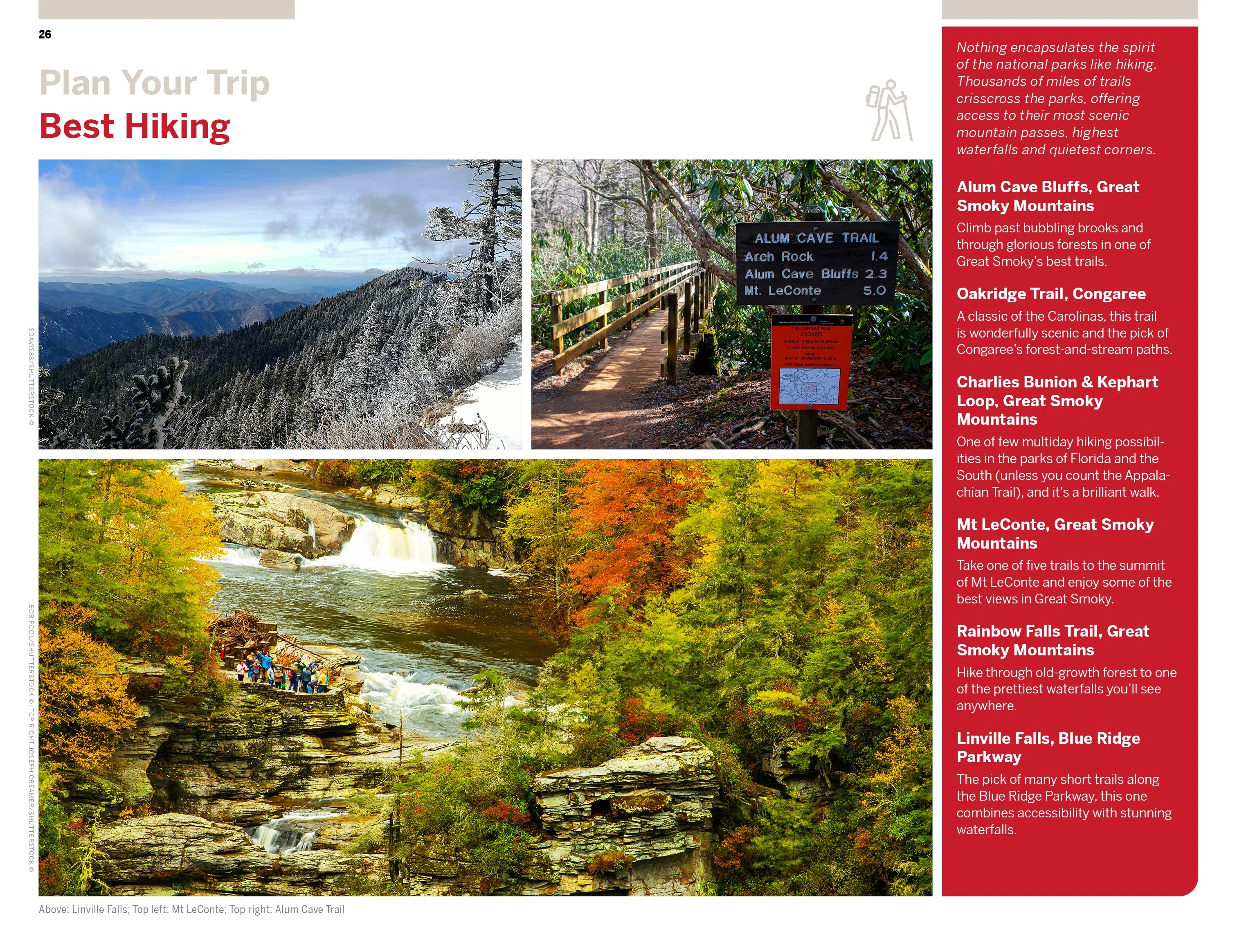 Florida & the South's National Parks - Book - Image 9