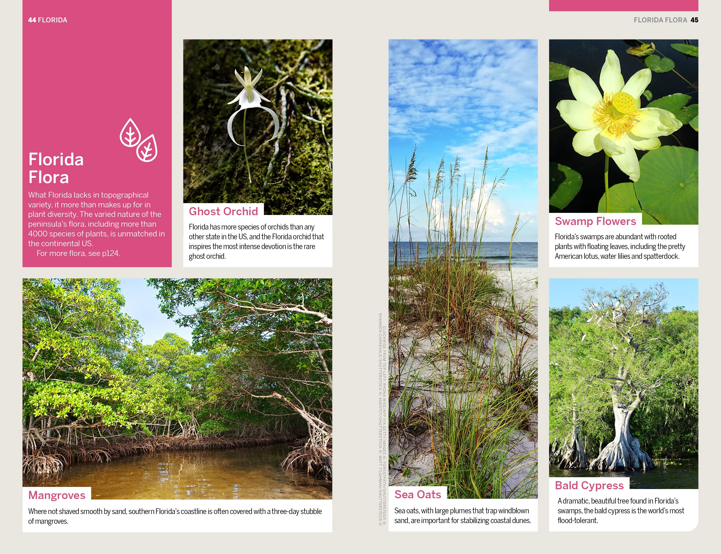 Florida & the South's National Parks - Book + eBook - Image 16