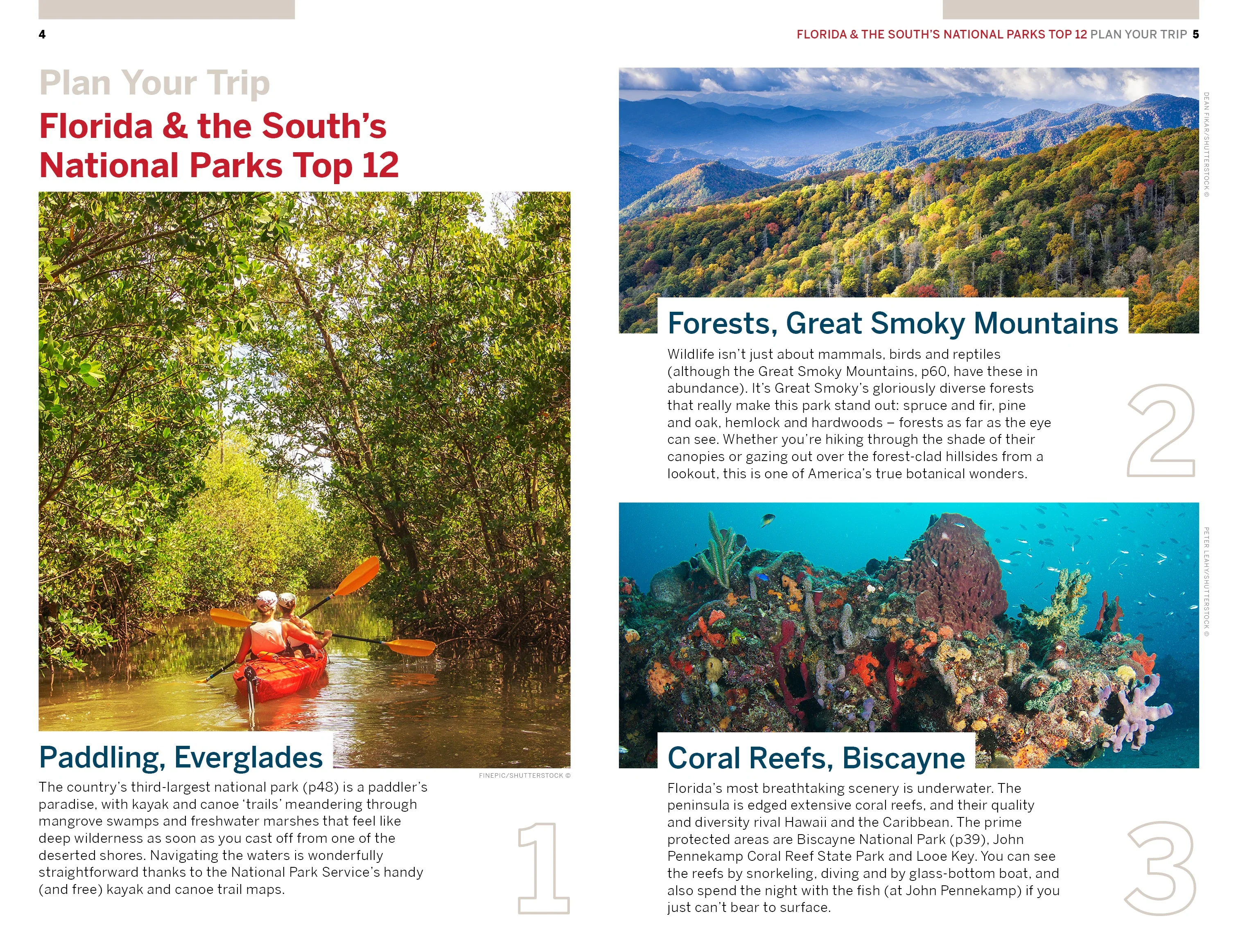 Florida & the South's National Parks - Book + eBook - Image 5