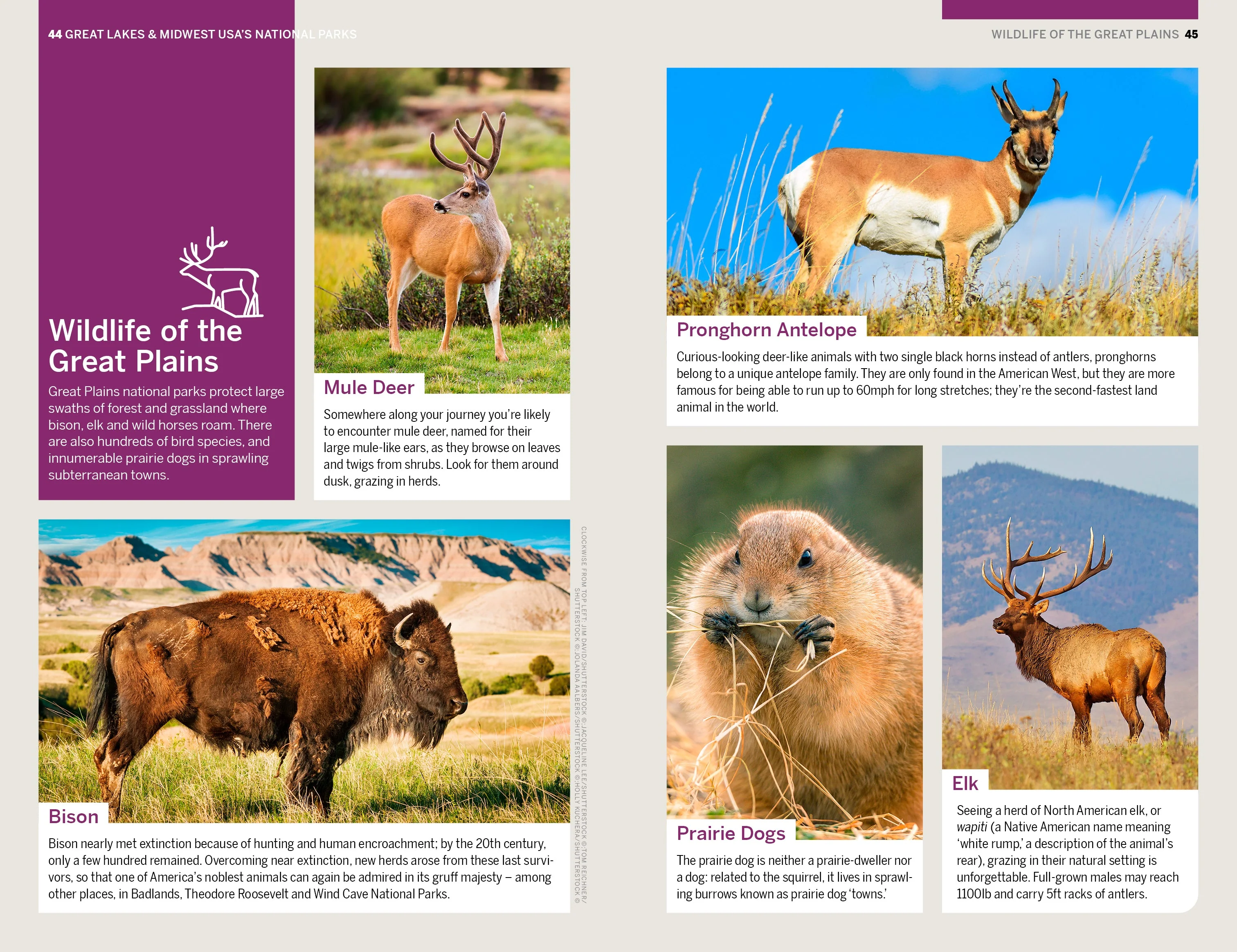 Great Lakes & Midwest USA's National Parks - Book - Image 9