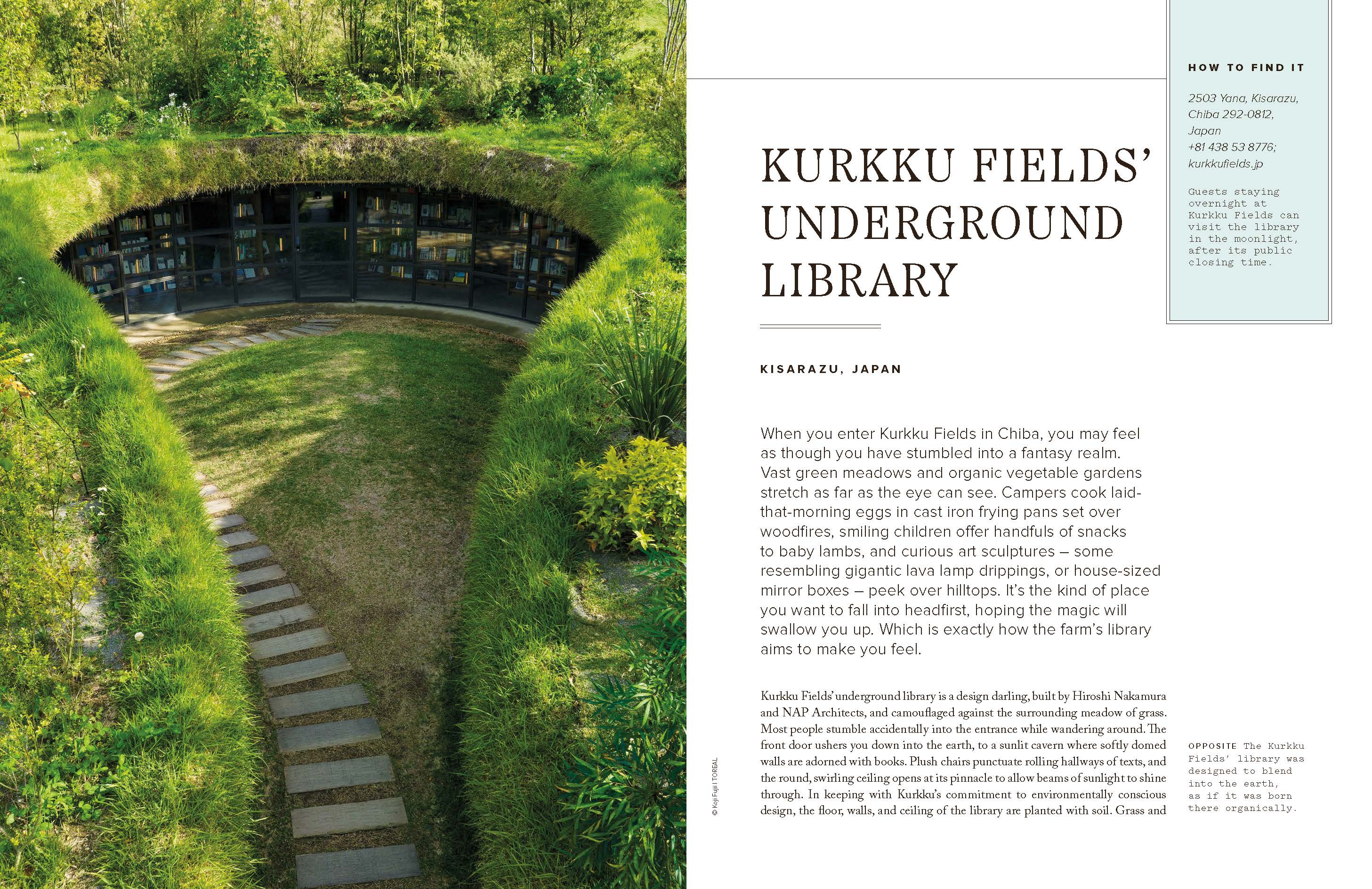 Hidden Libraries - Image 12