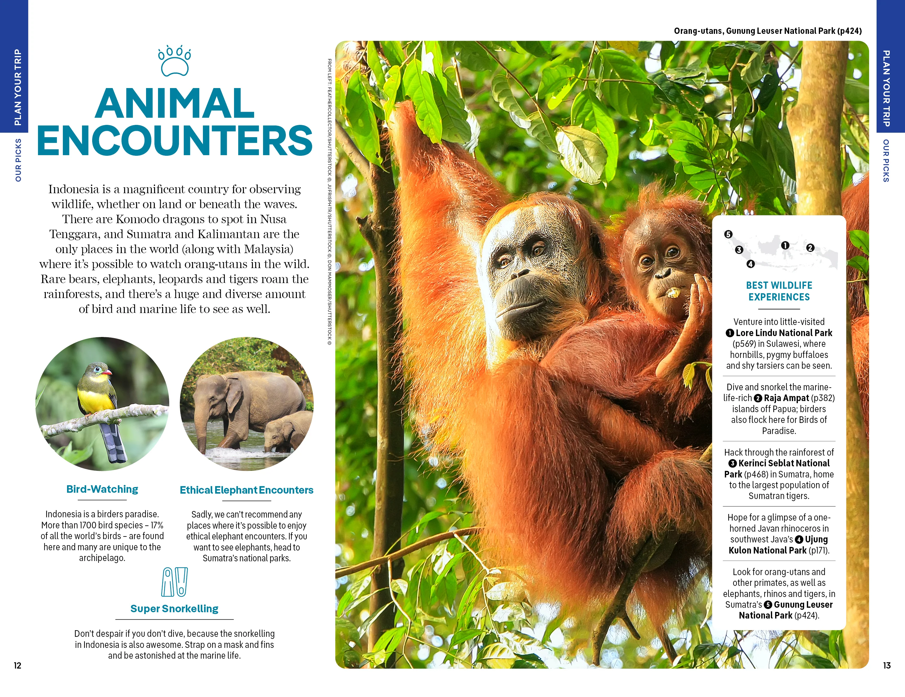 Indonesia - Book + eBook - Image 6