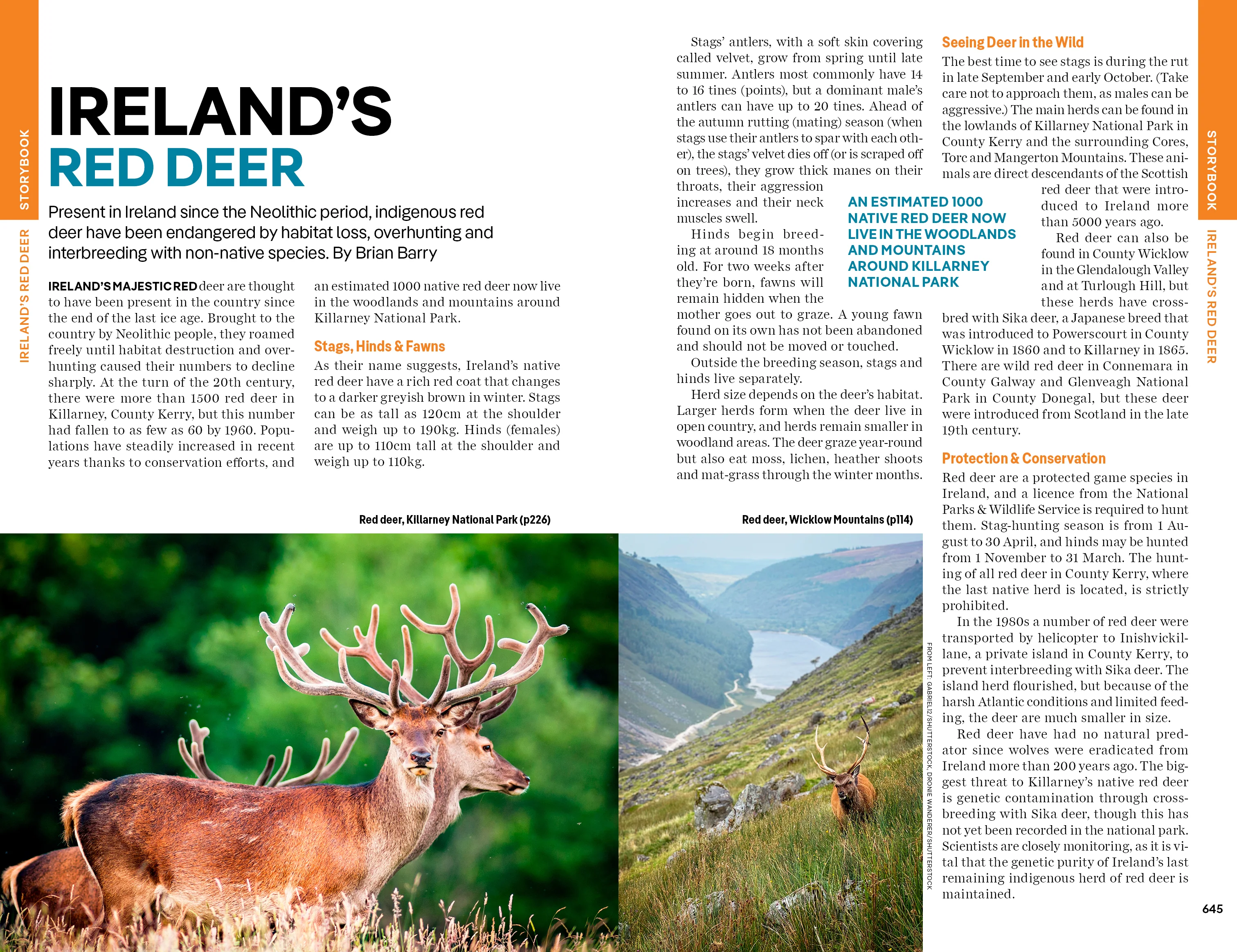 Ireland - Book - Image 20