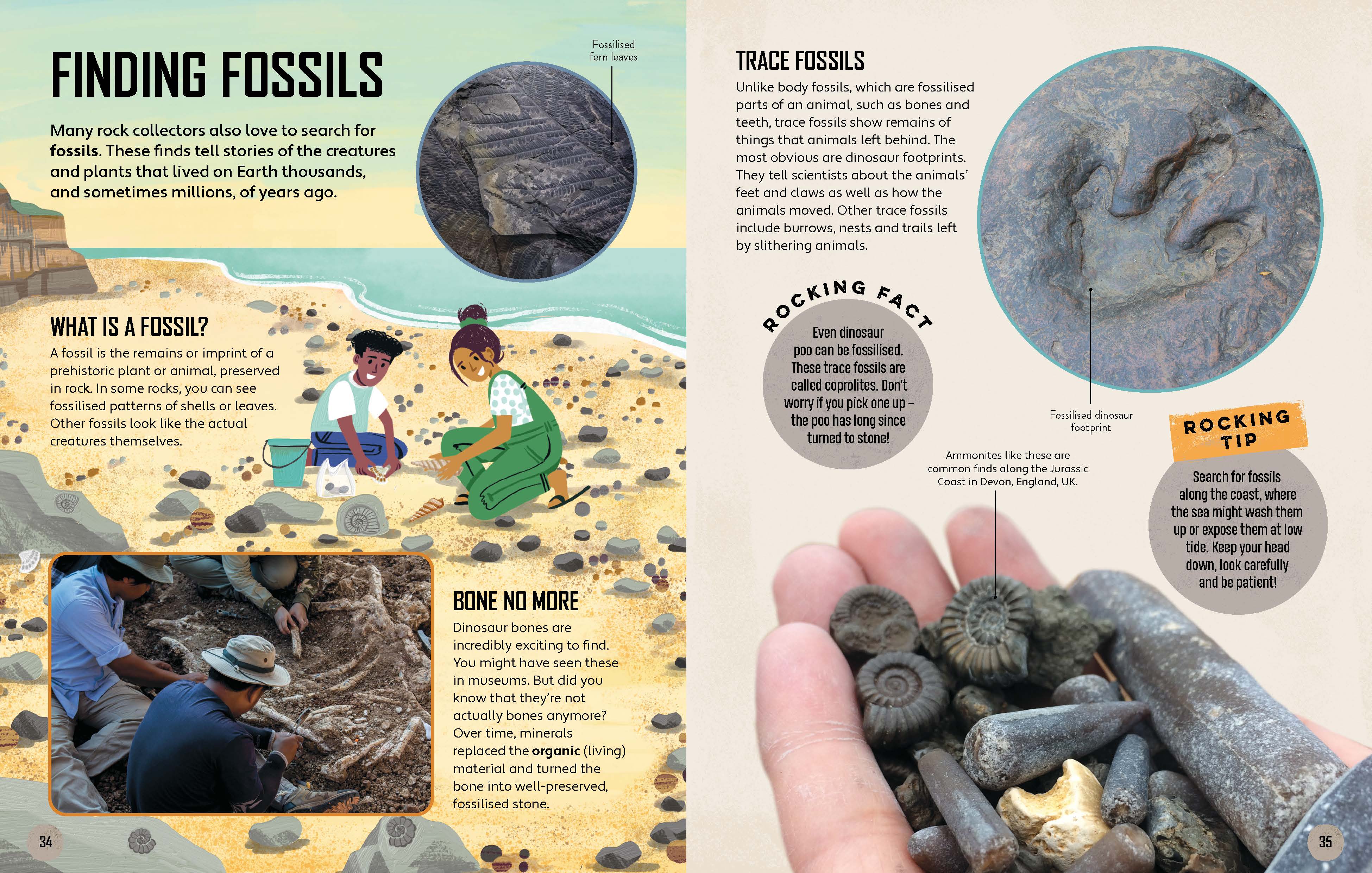 Let's Go Rock Collecting - Image 9