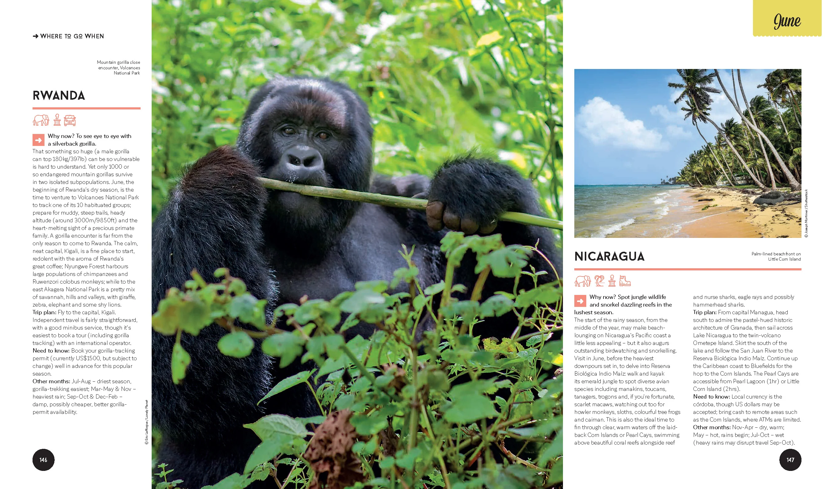 Lonely Planet's Where to Go When - Book - Image 13