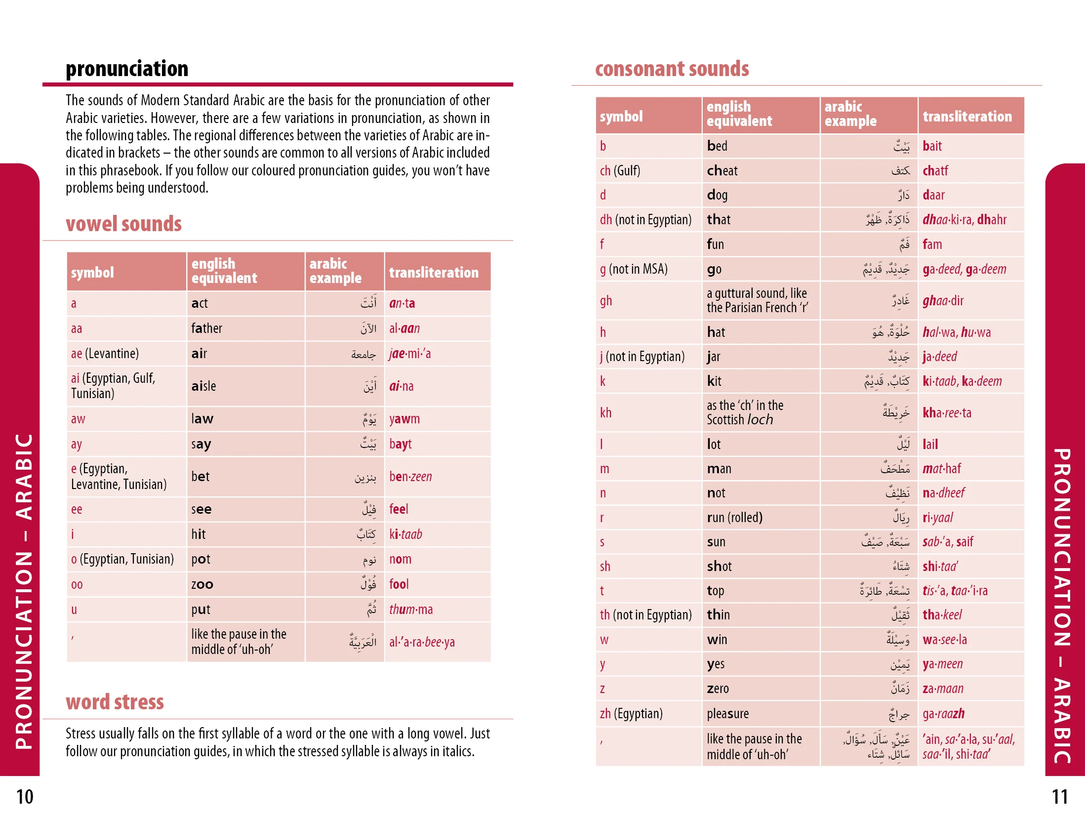 Middle East Phrasebook & Dictionary - Image 5