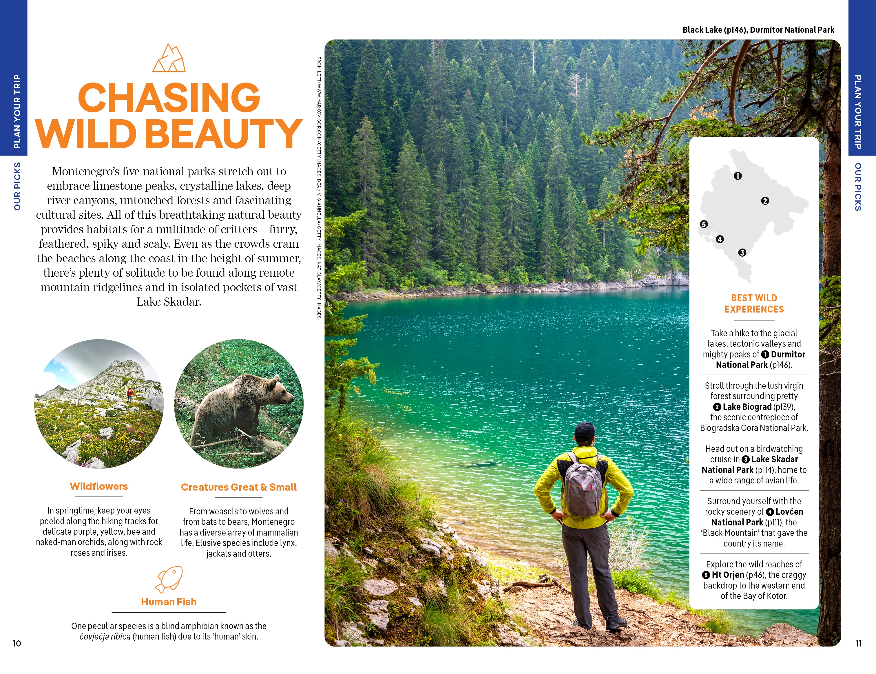 Montenegro - Book - Image 4