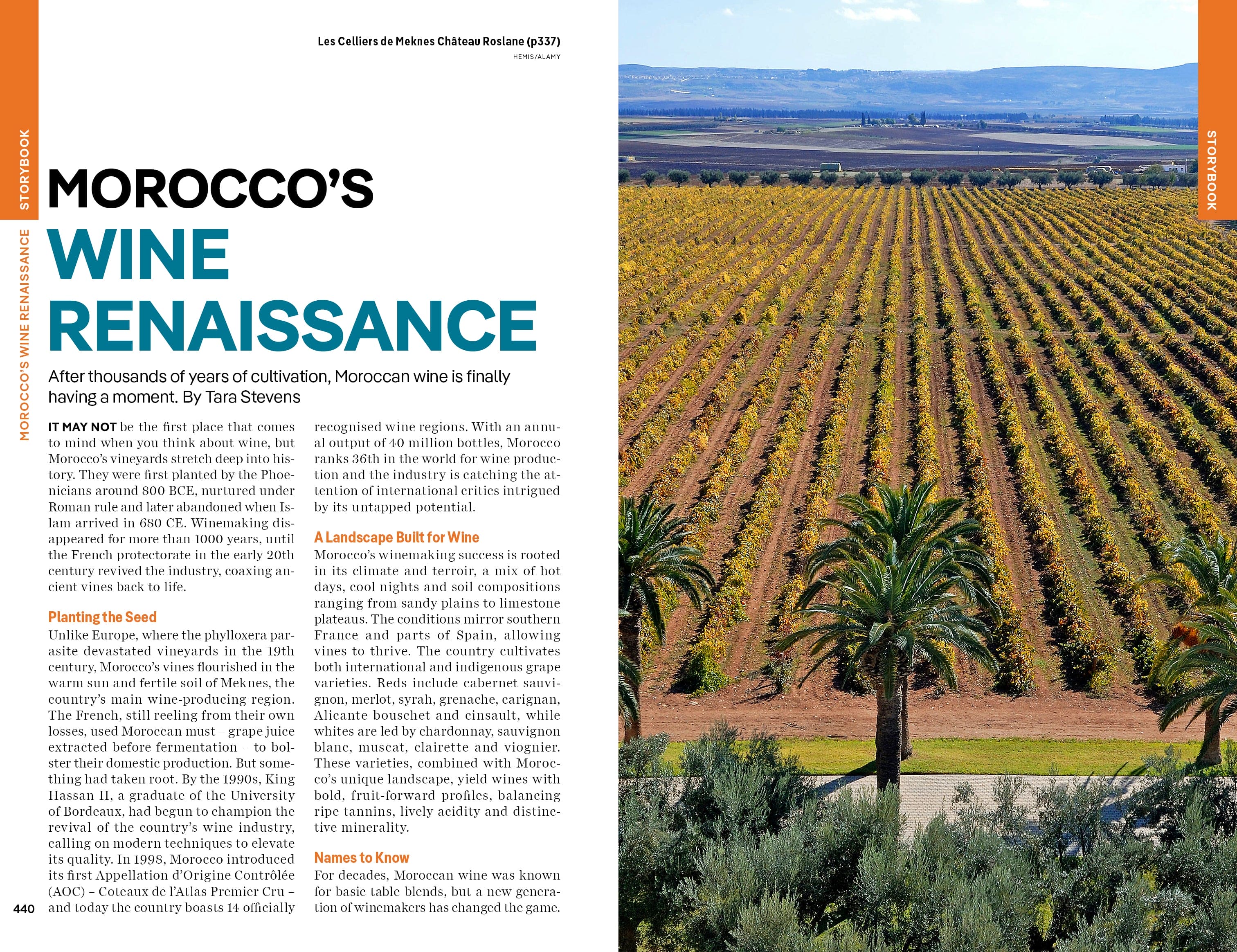Morocco - Book + eBook - Image 20
