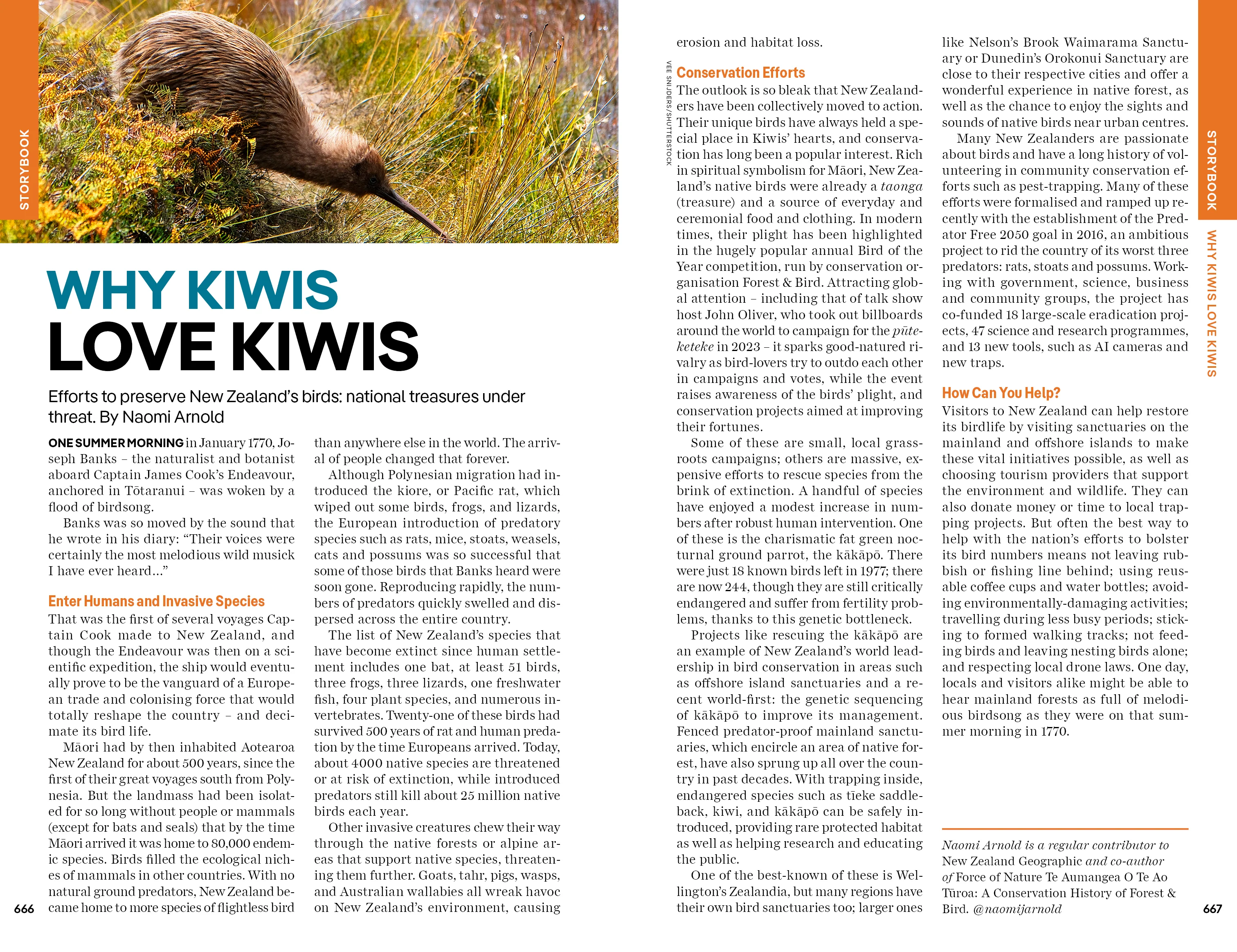 New Zealand - Book - Image 21