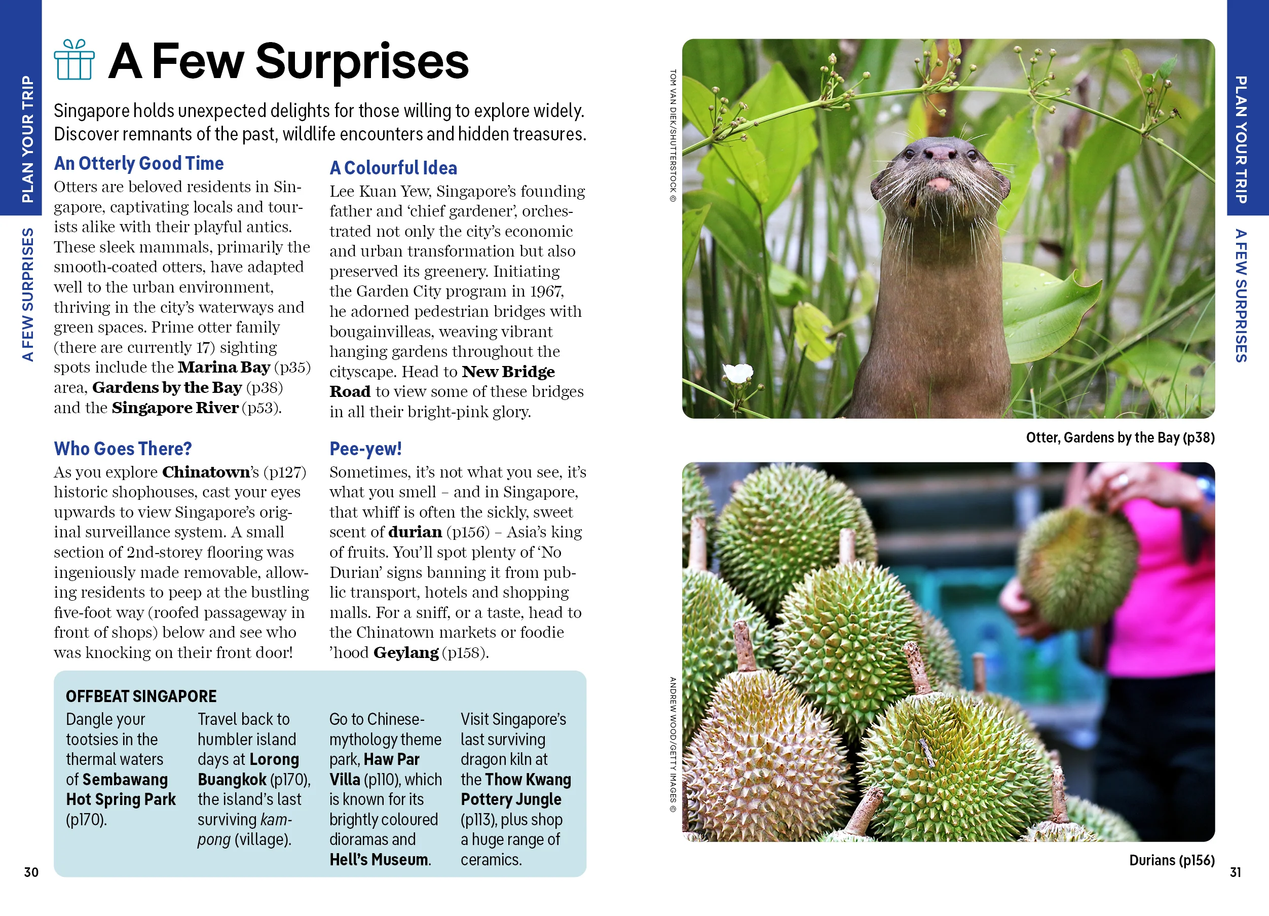 Pocket Singapore - Book + eBook - Image 9