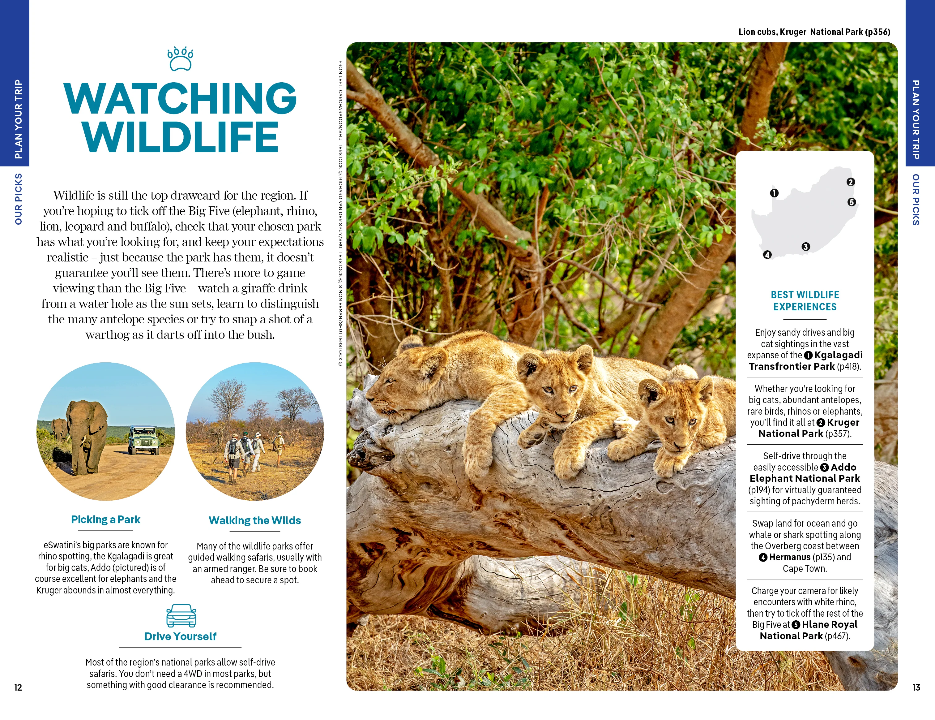 South Africa, Lesotho & Eswatini - Book + eBook - Image 6