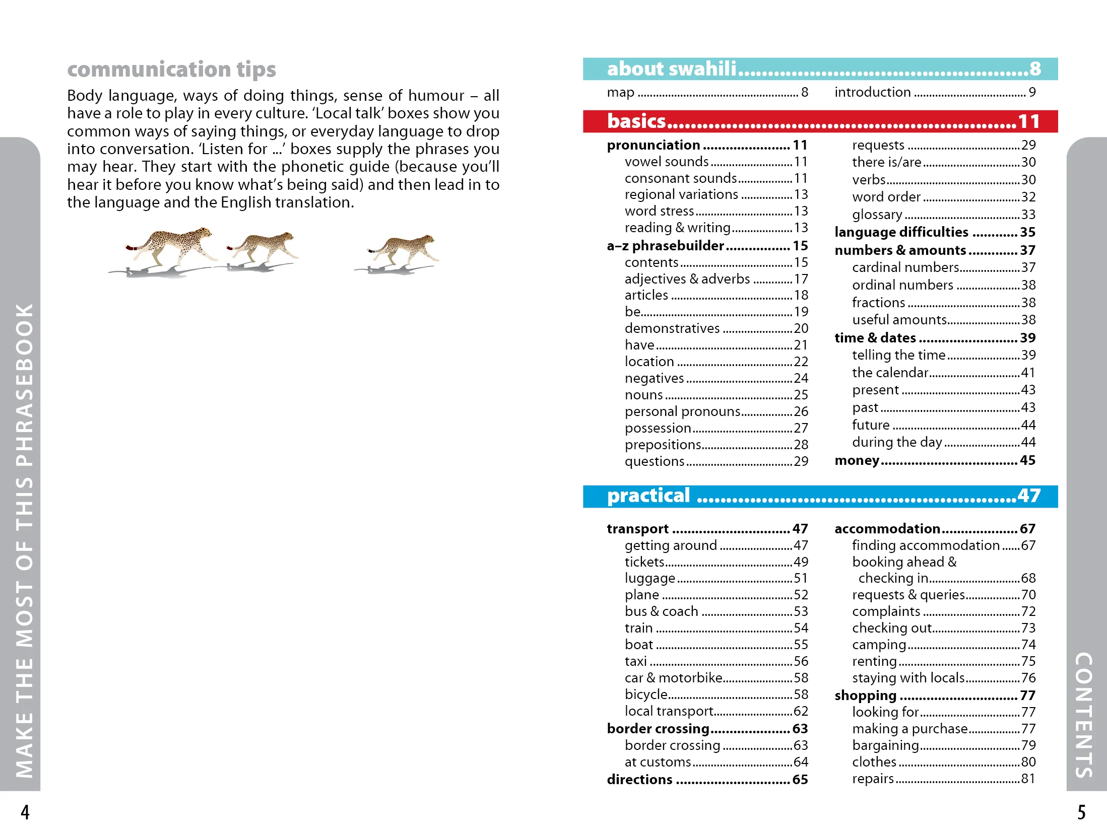 Swahili Phrasebook & Dictionary - Image 2