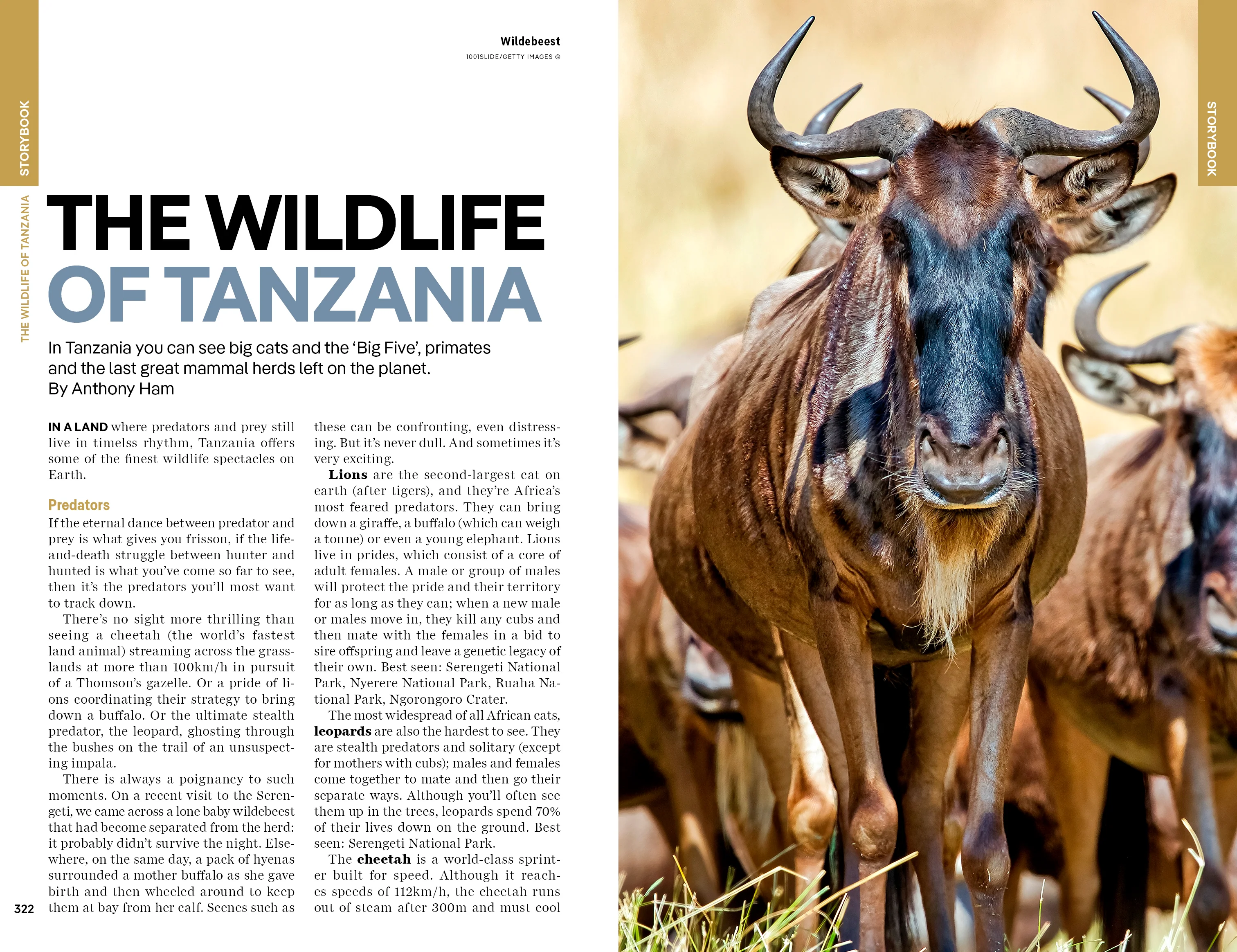 Tanzania - Image 16