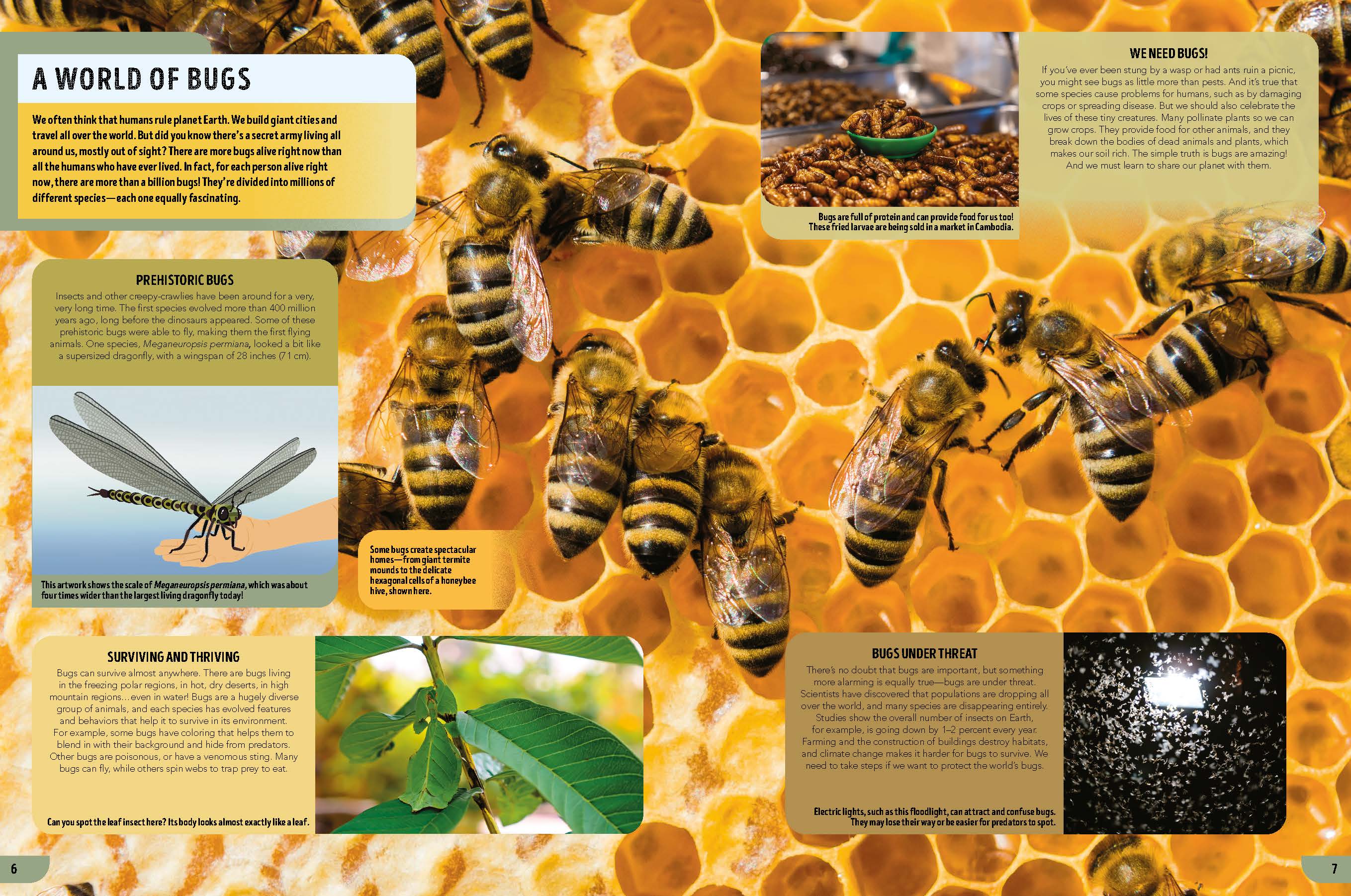The Bugs Book - Book + eBook - Image 3
