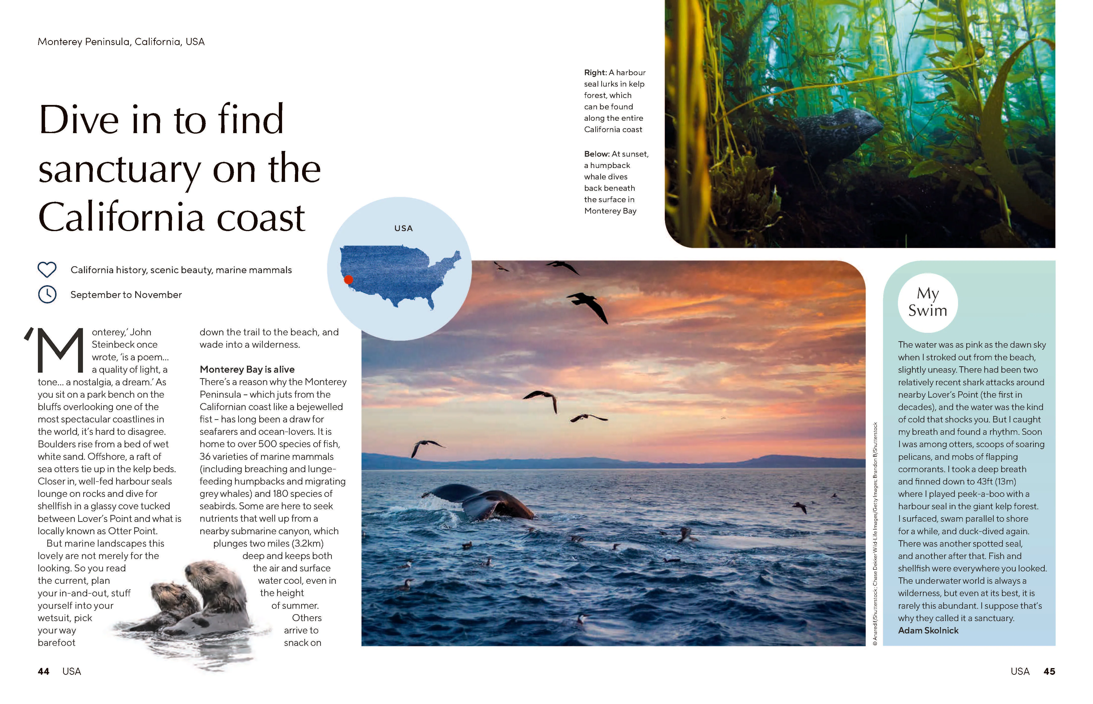 The Joy of Wild Swimming - Image 3