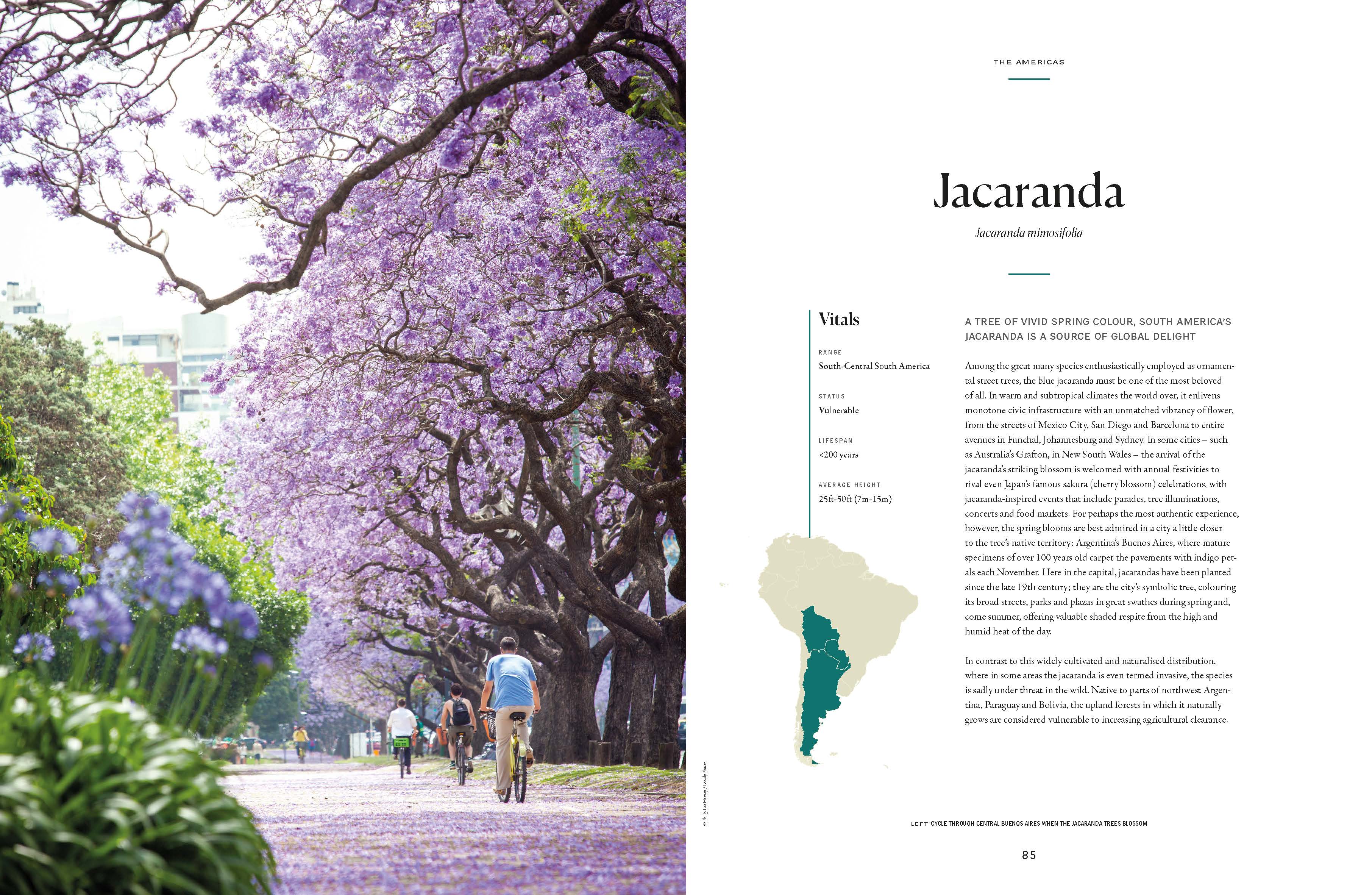 The Tree Atlas - Image 11