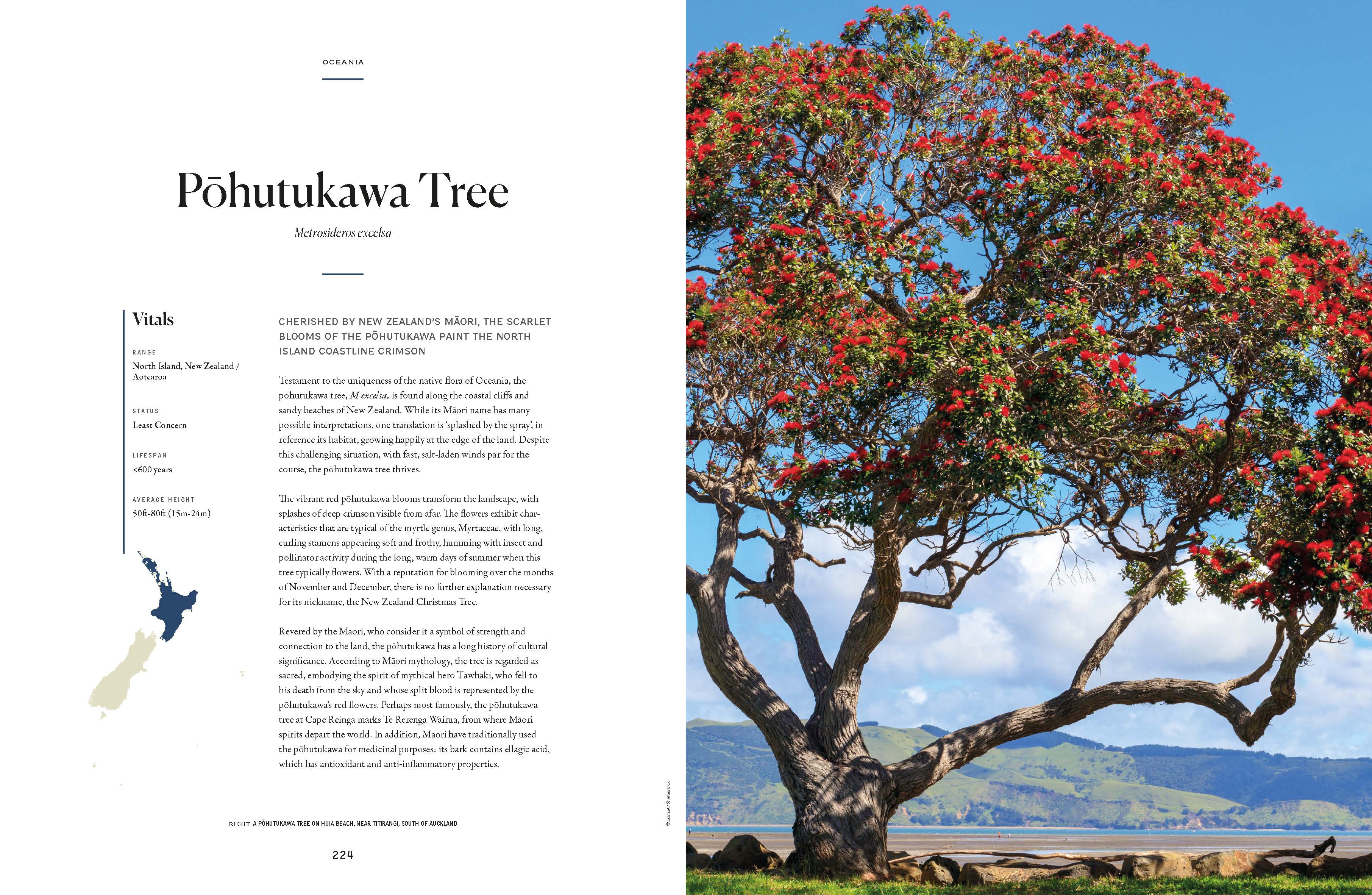The Tree Atlas - Image 20