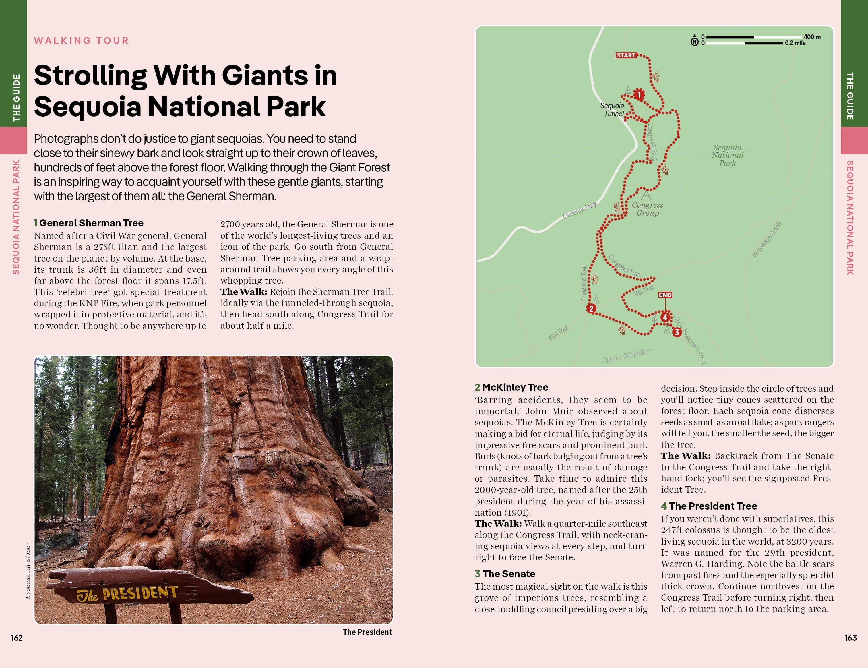 Yosemite, Sequoia & Kings Canyon National Parks - Book + eBook - Image 14
