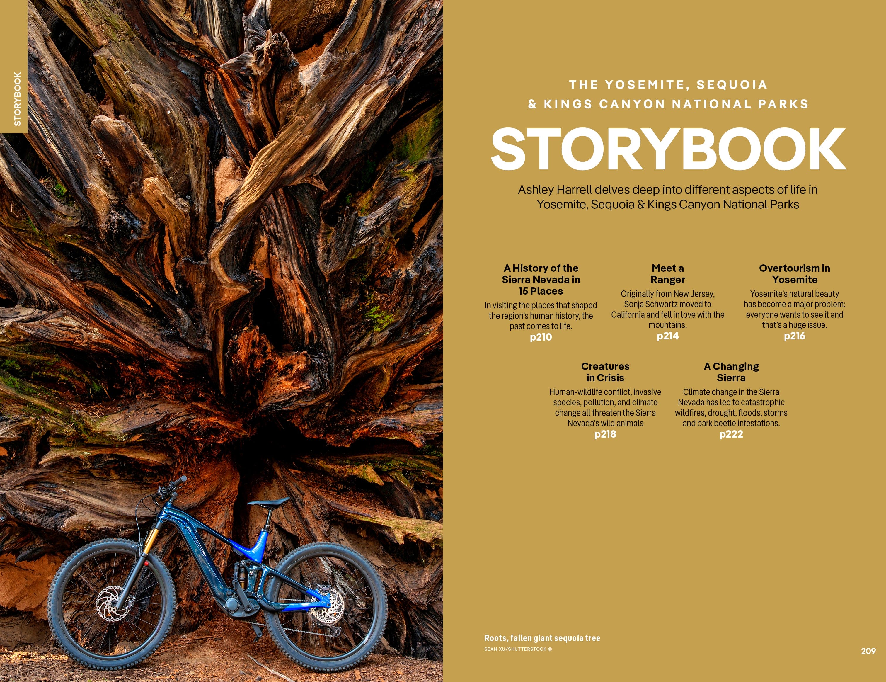 Yosemite, Sequoia & Kings Canyon National Parks - Book + eBook - Image 17
